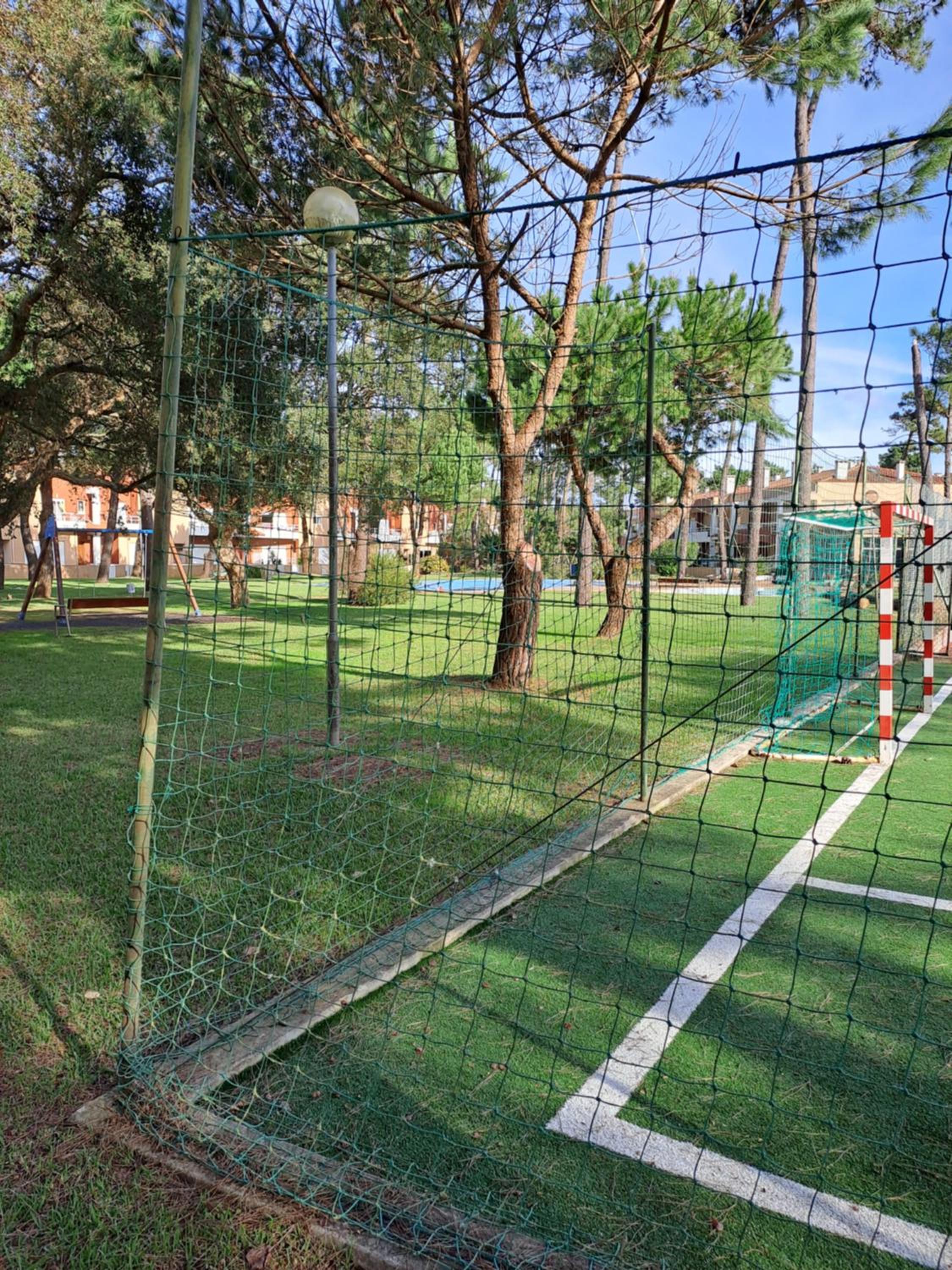 Photo 47