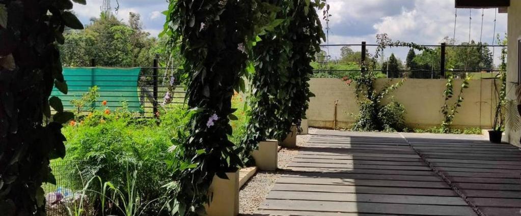 Chakra farms view 4