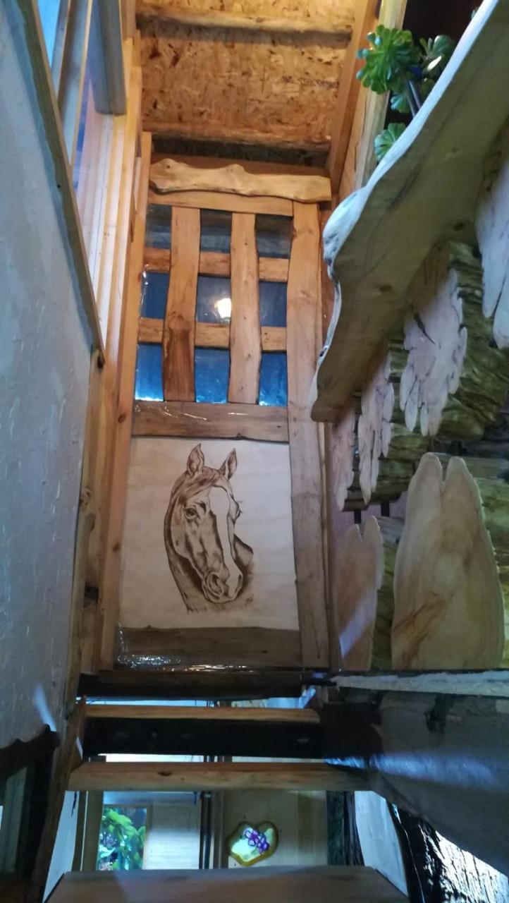 Cabaña en el arbol La Calera