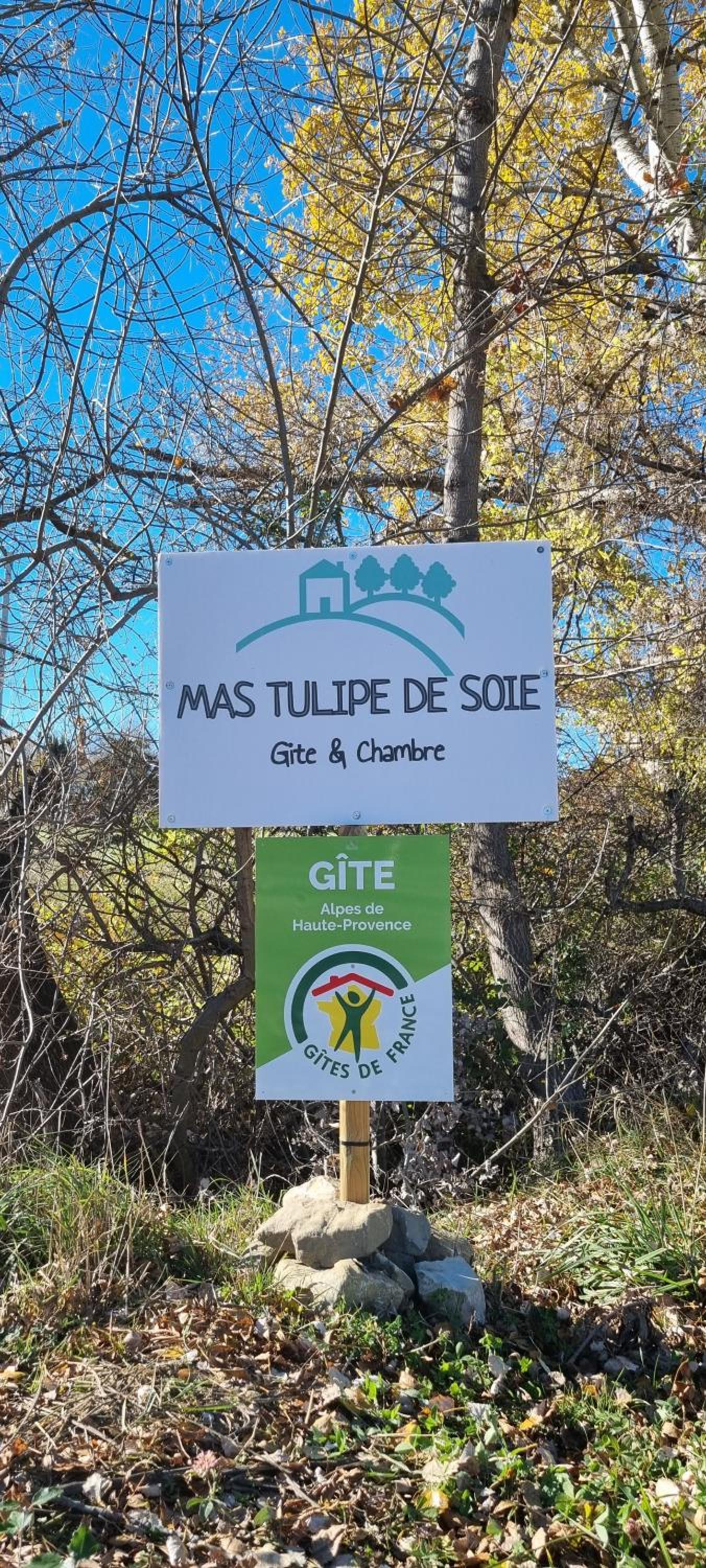 Mas Tulipe de Soie view 3