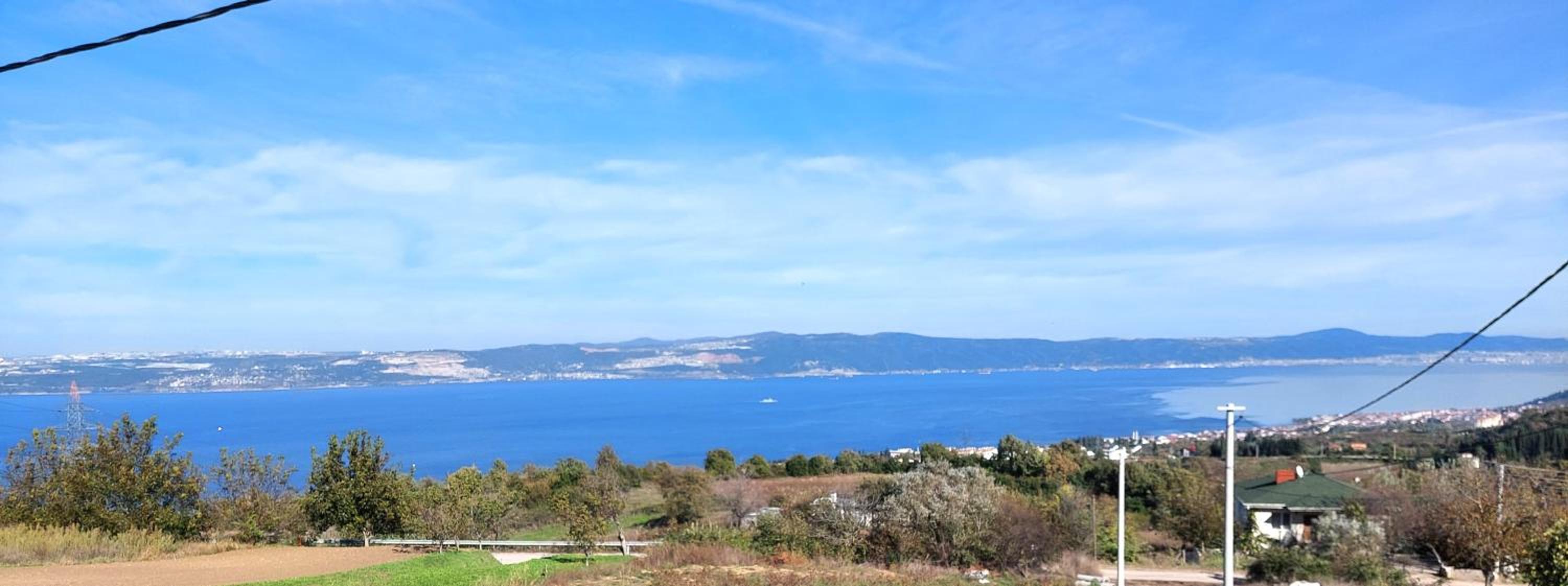 Patya BUNGALOV