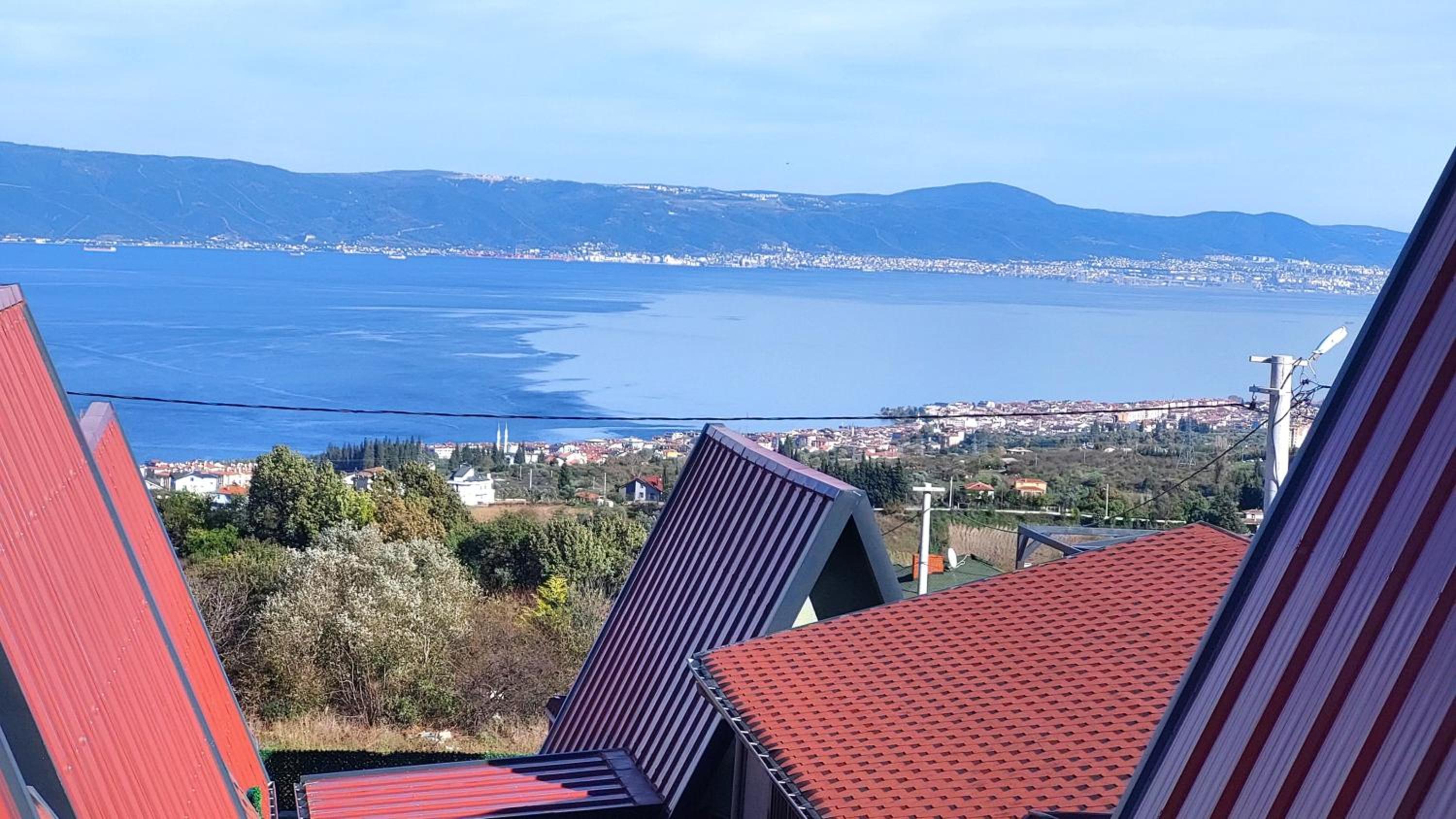 Patya BUNGALOV