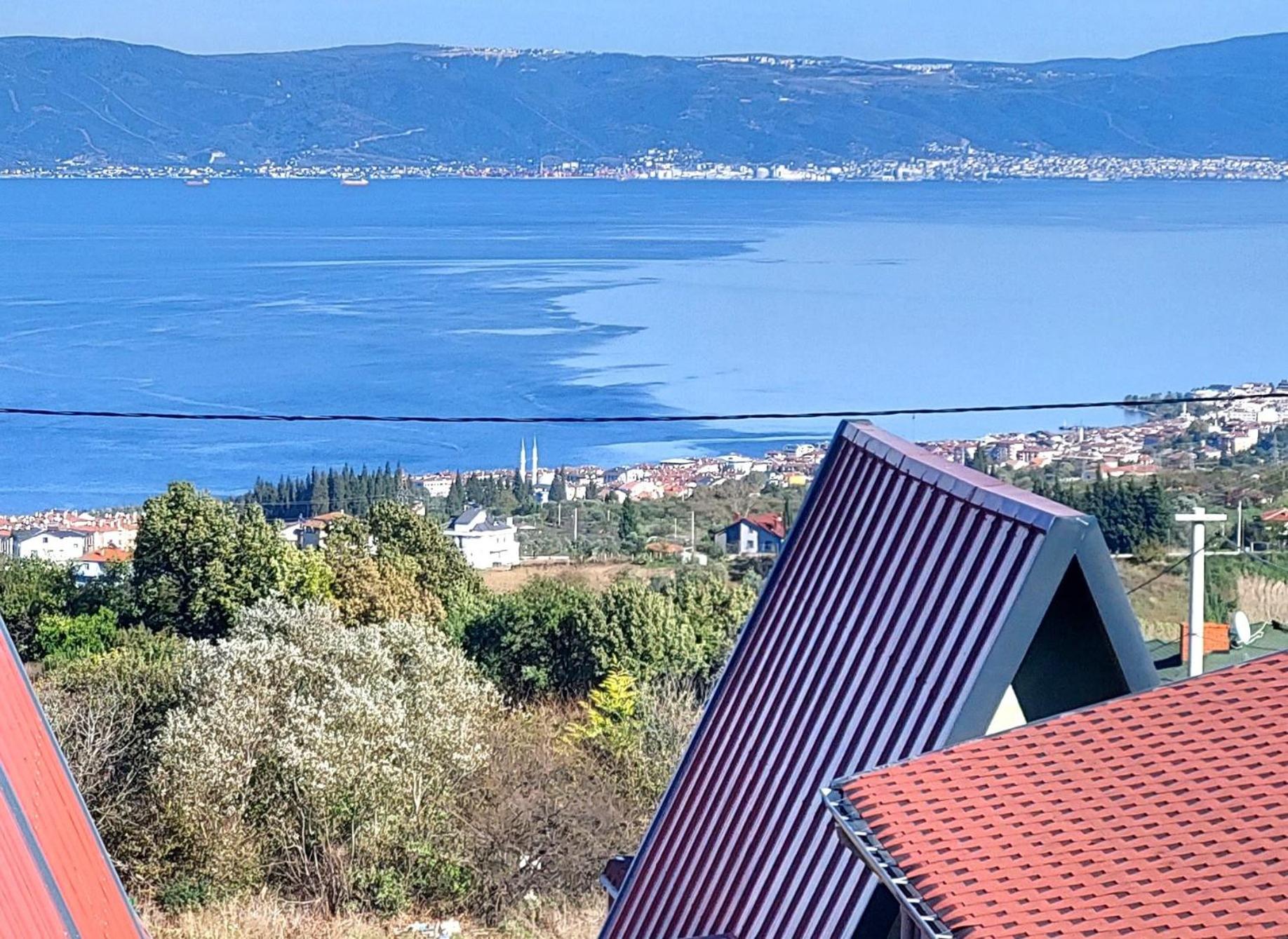 Patya BUNGALOV