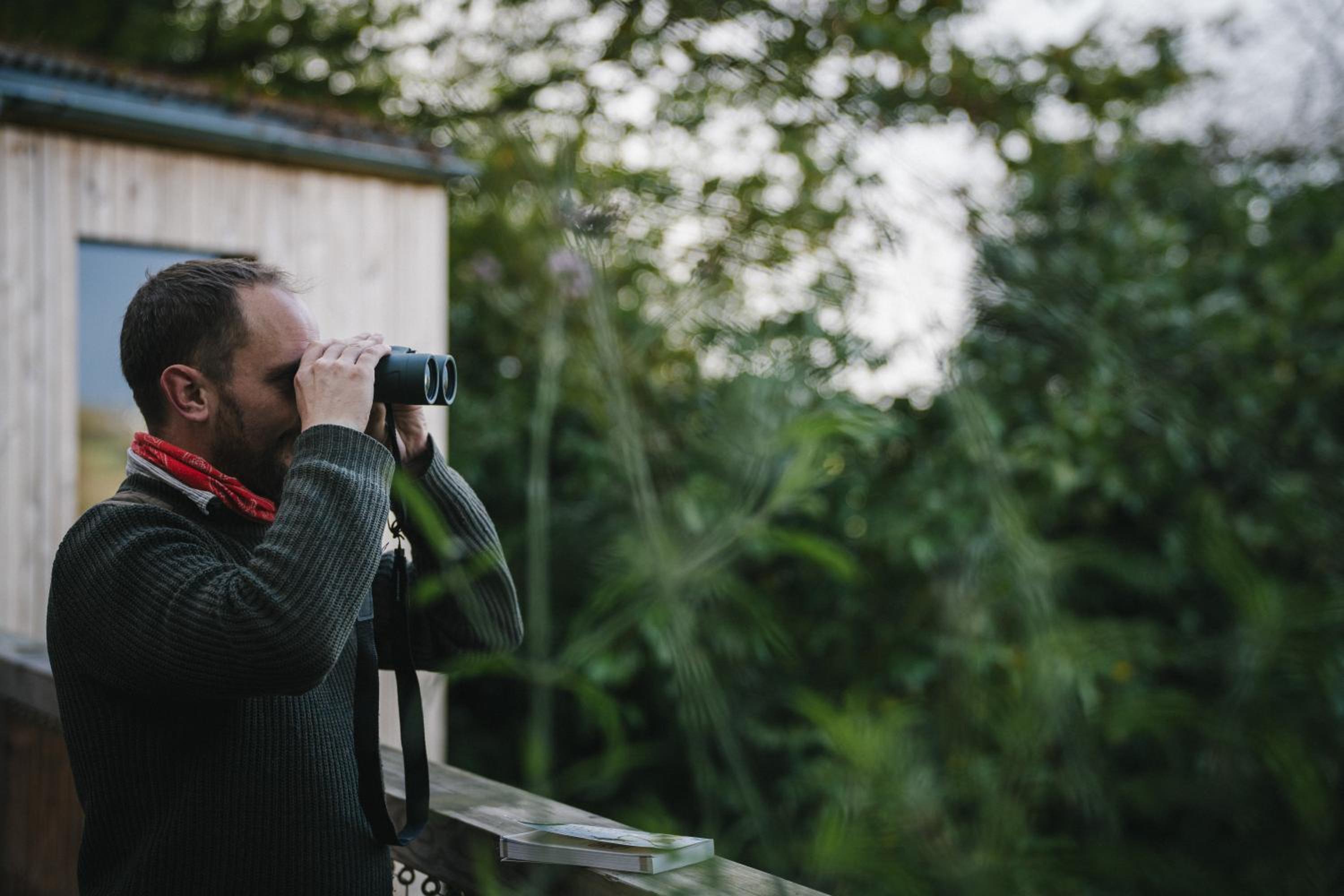 RewildThings Treehouses