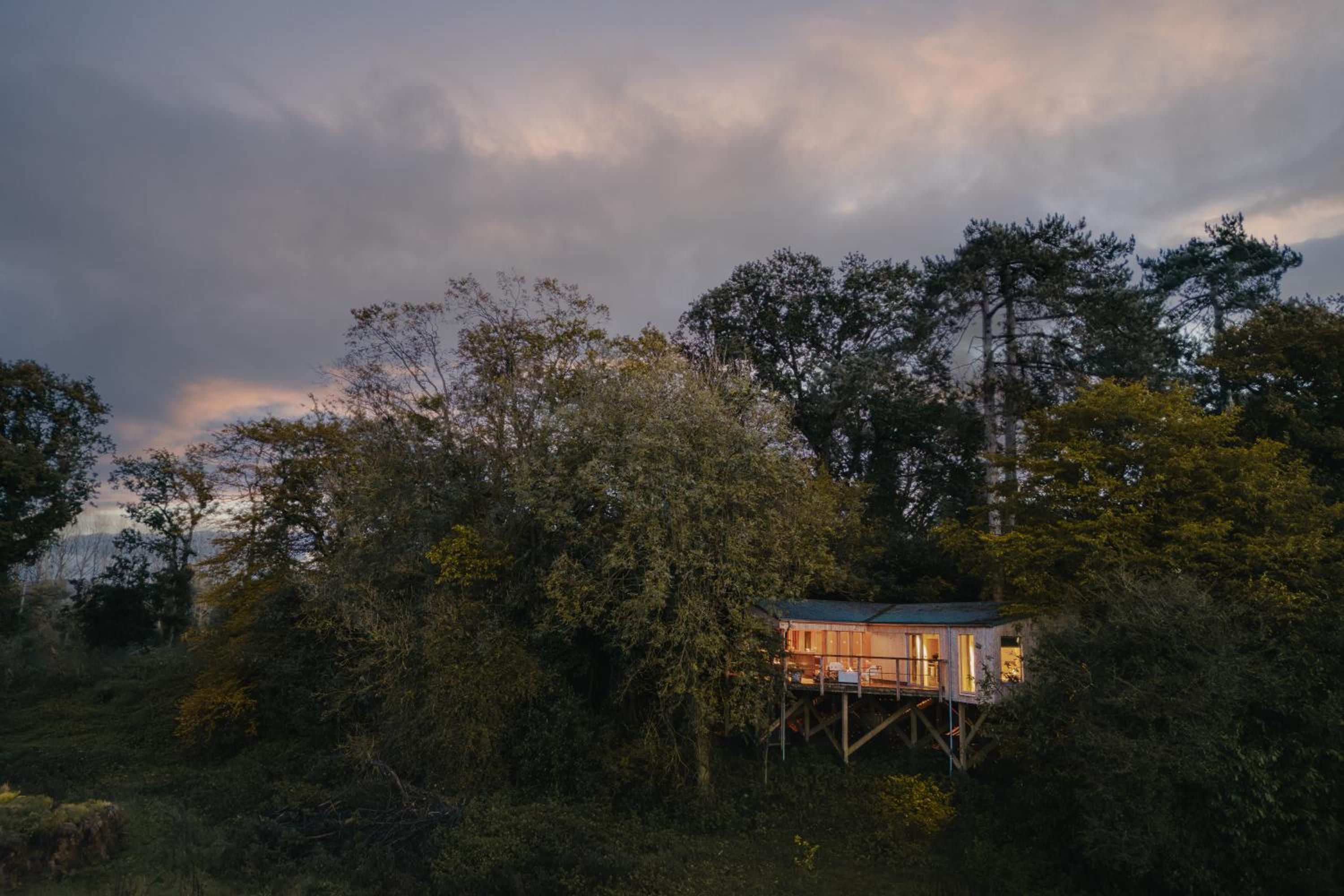 RewildThings Treehouses