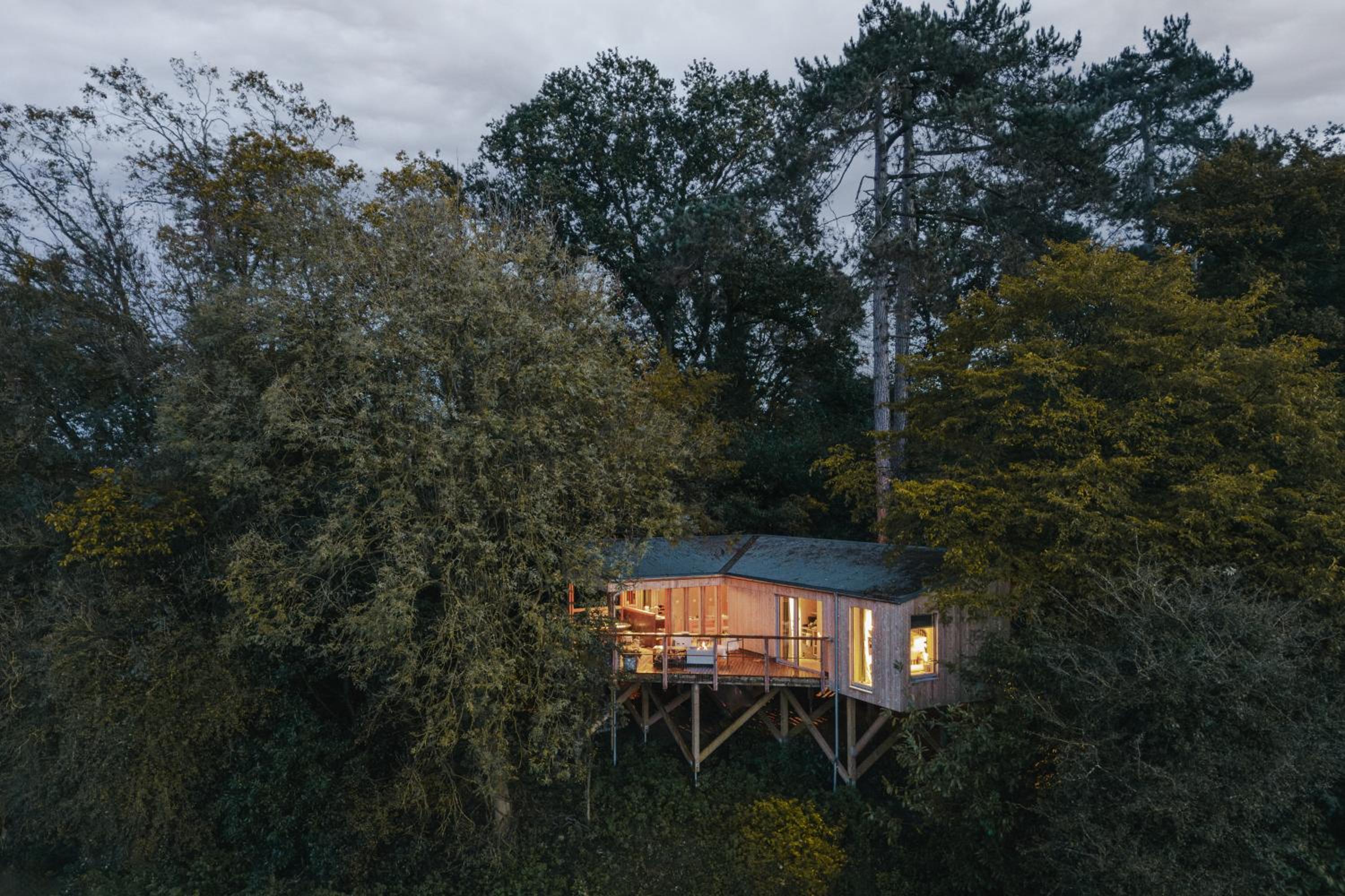 RewildThings Treehouses
