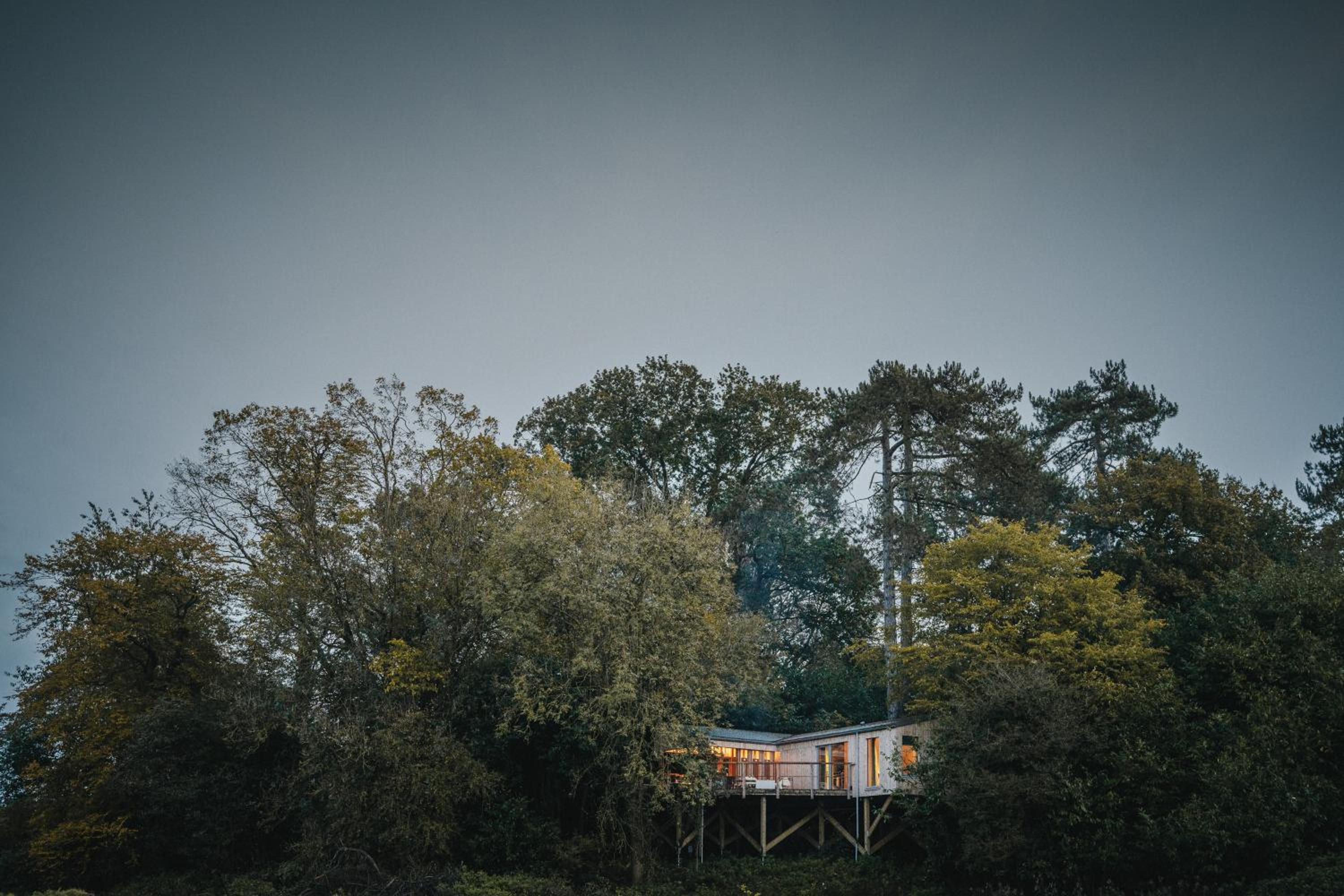RewildThings Treehouses
