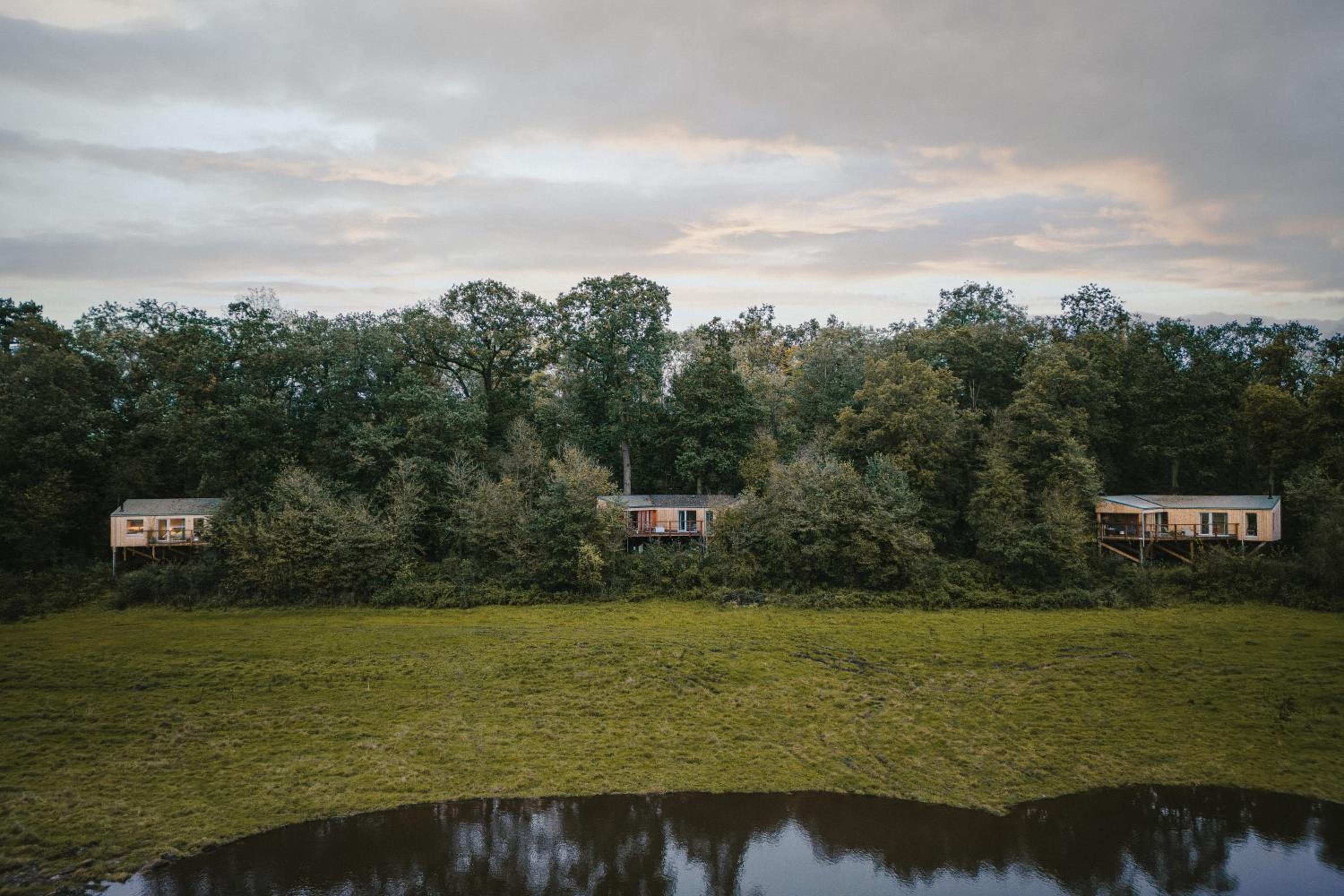 RewildThings Treehouses