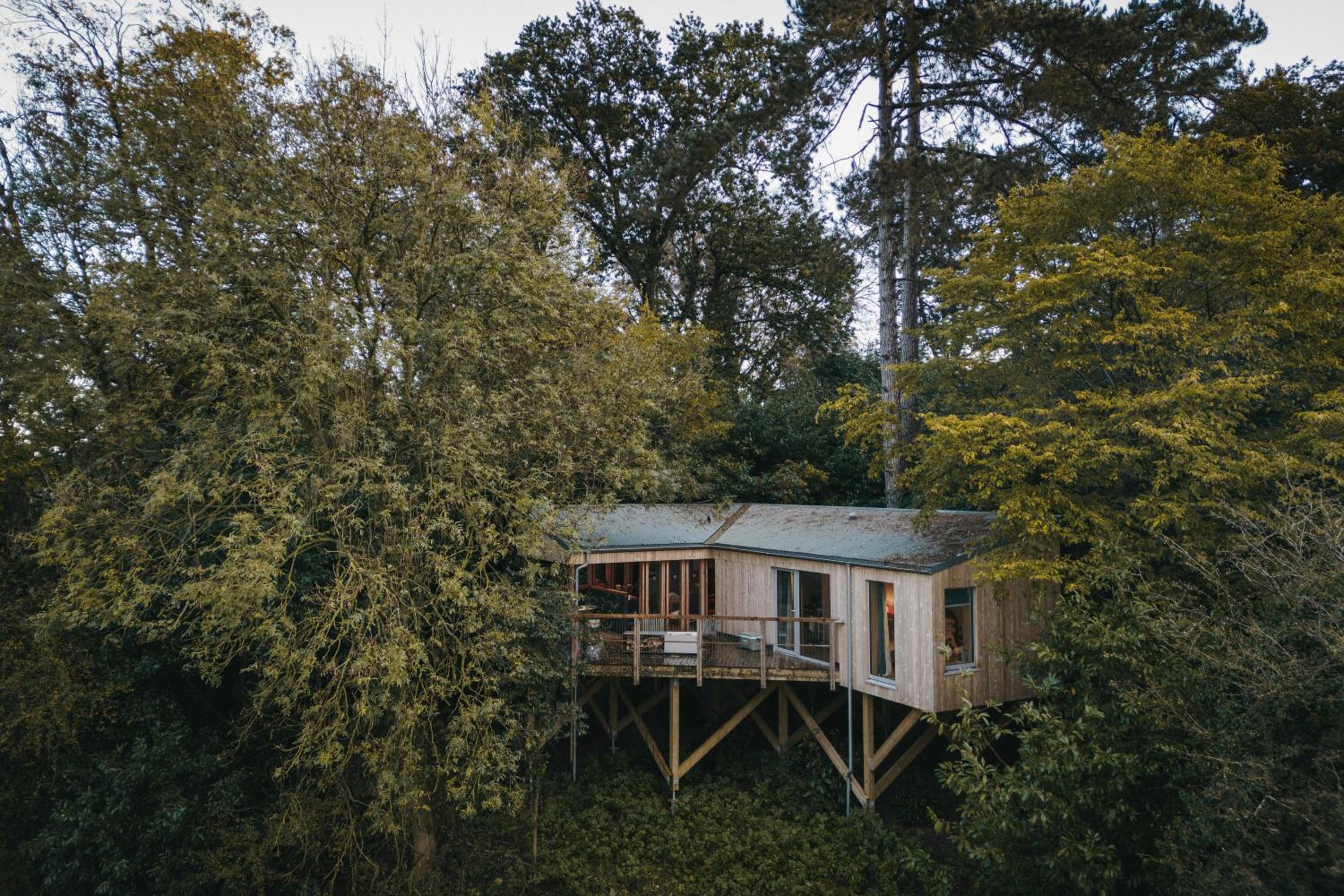 RewildThings Treehouses