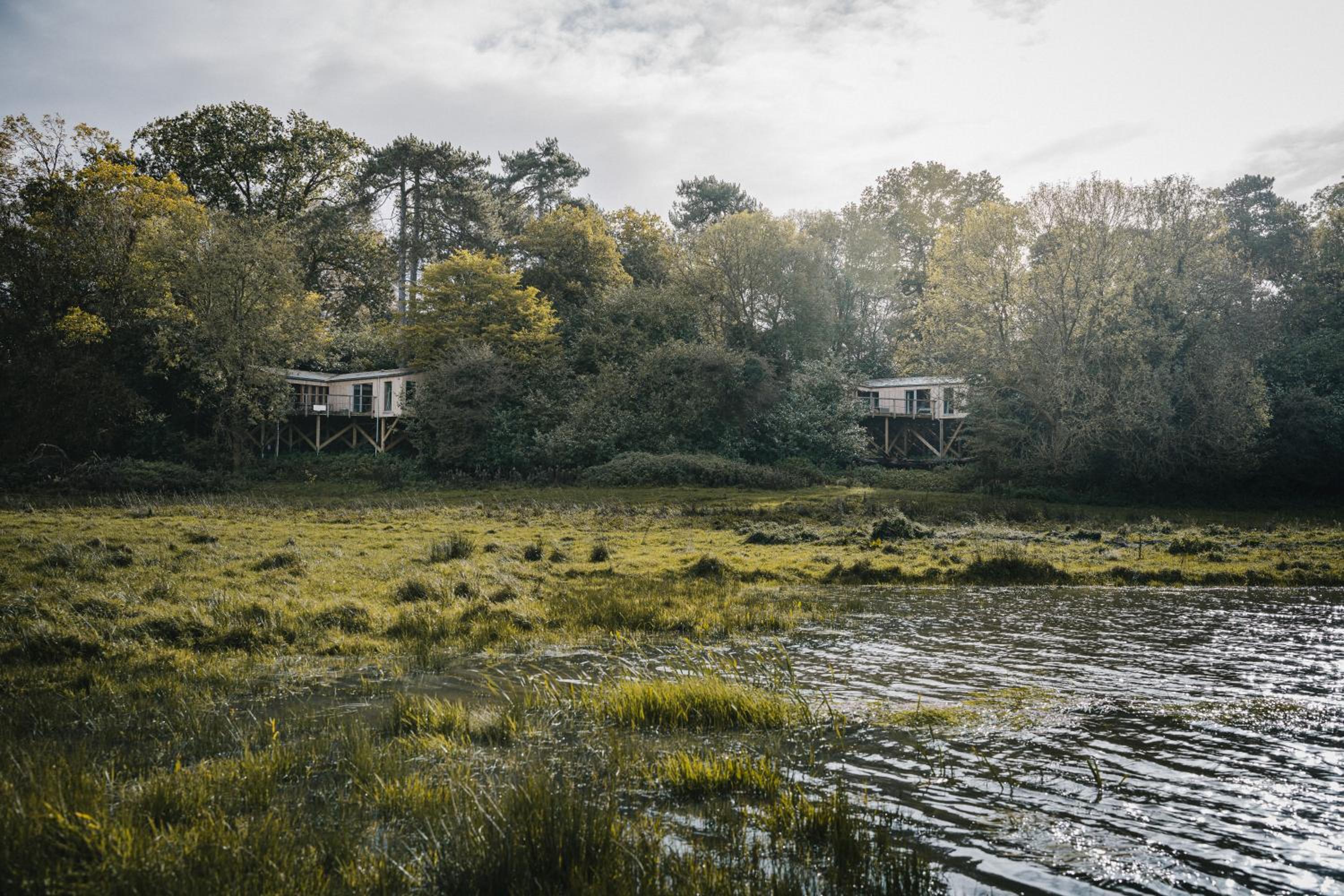 RewildThings Treehouses