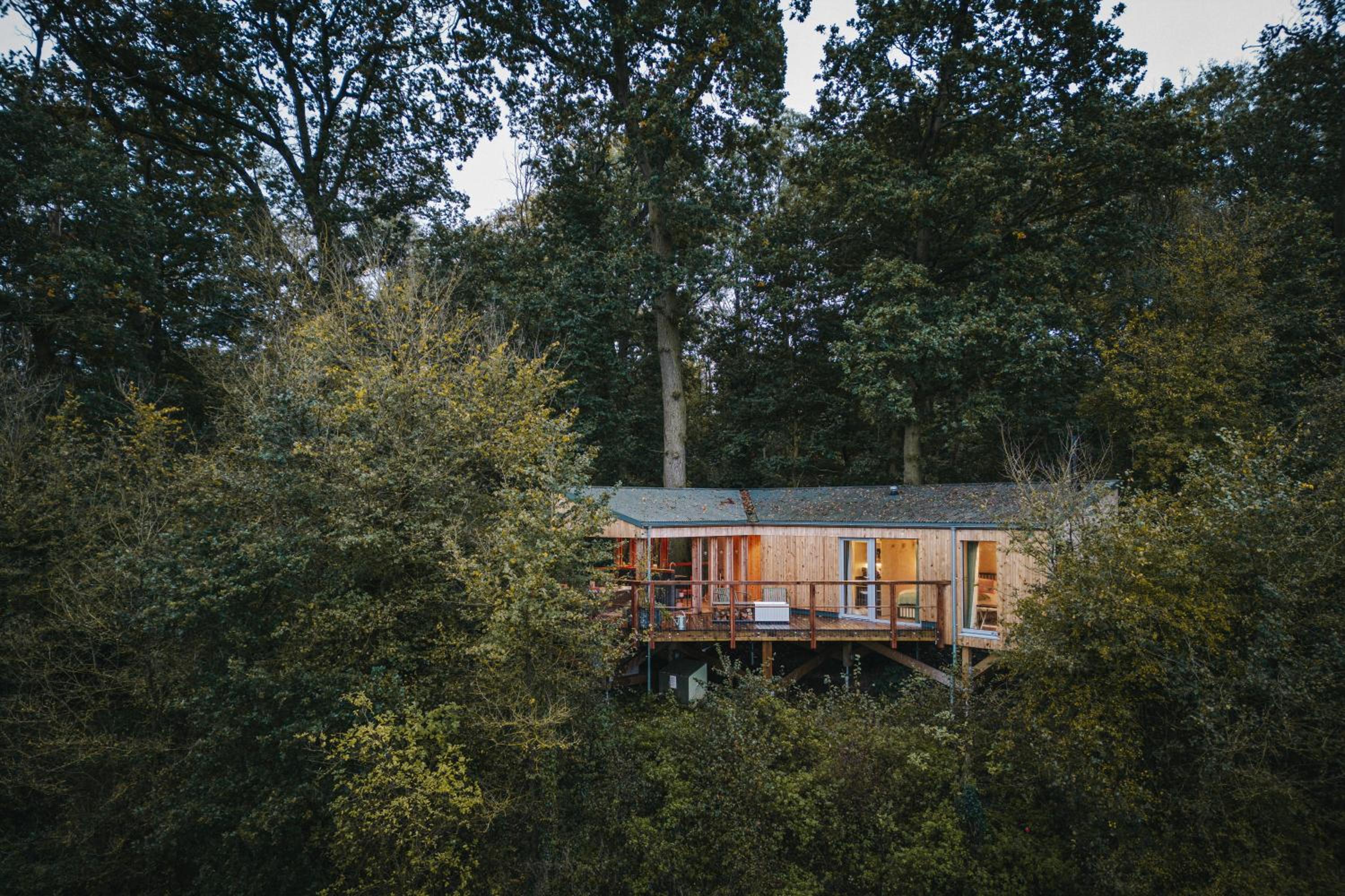 RewildThings Treehouses