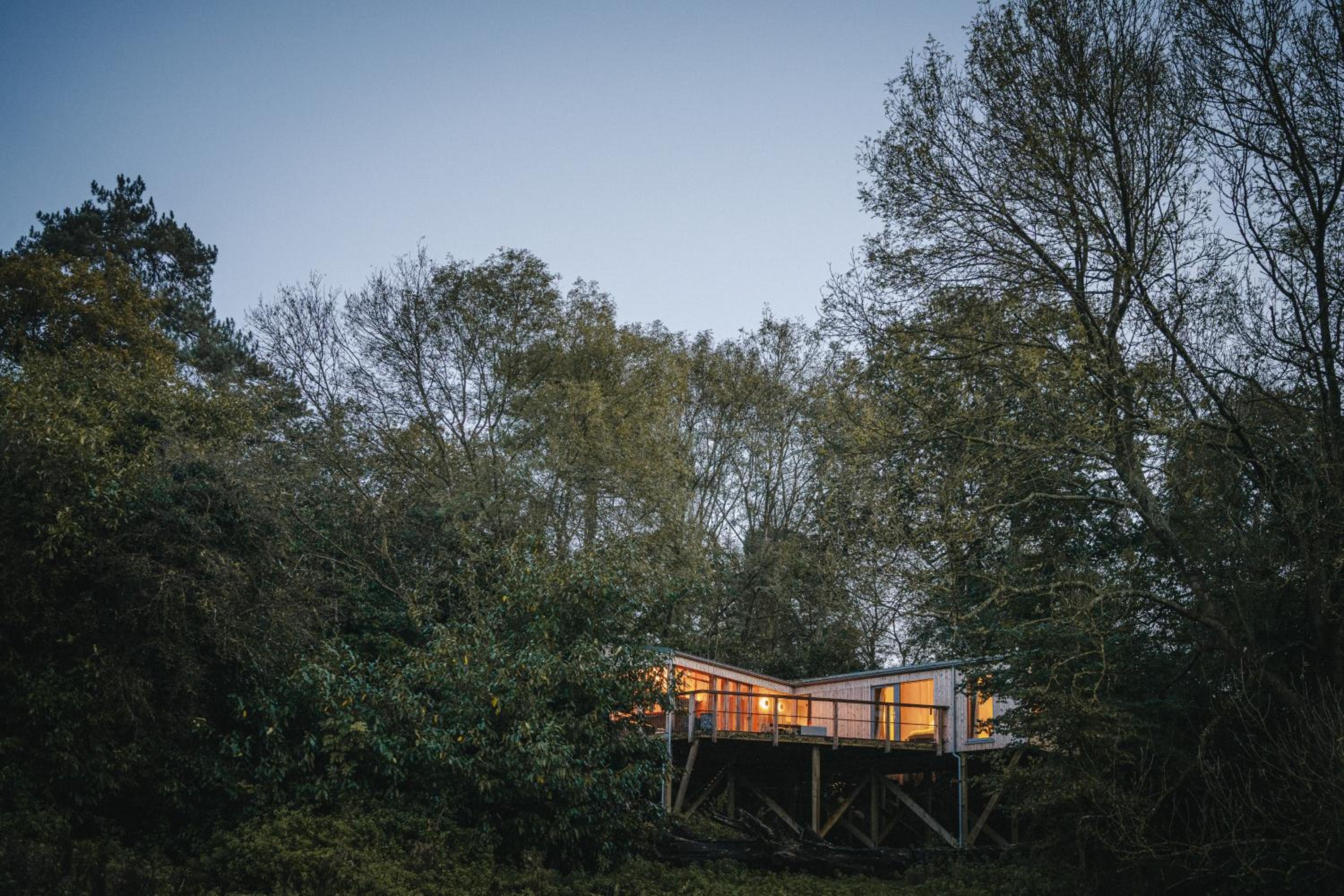 RewildThings Treehouses