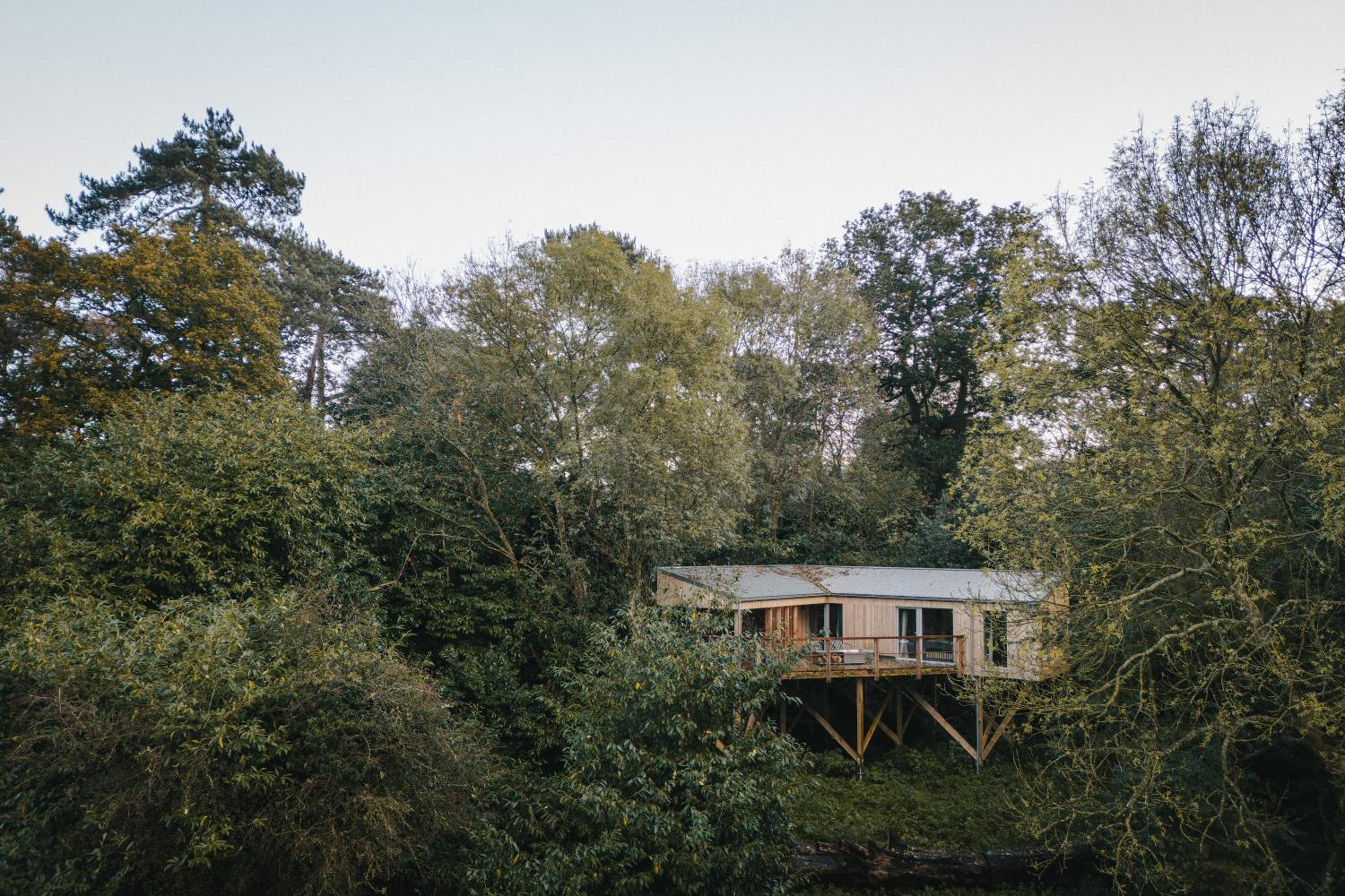 RewildThings Treehouses