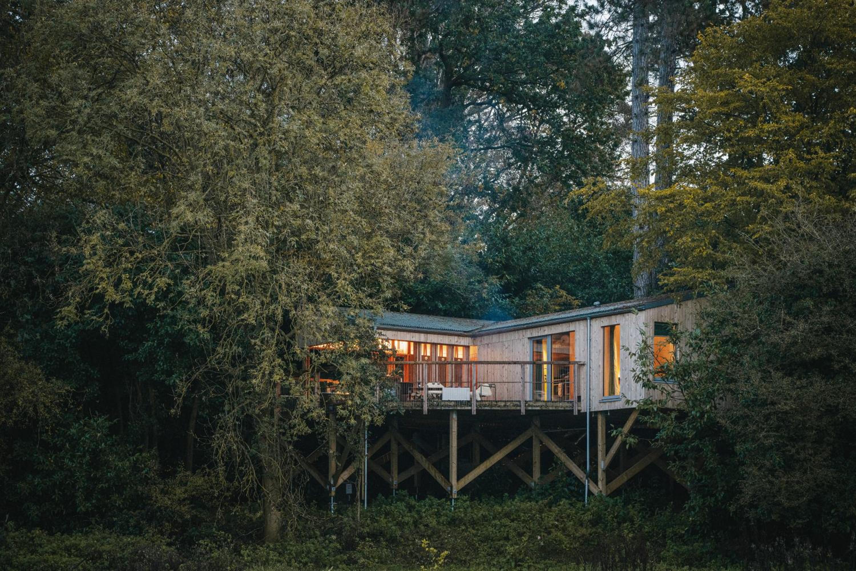RewildThings Treehouses