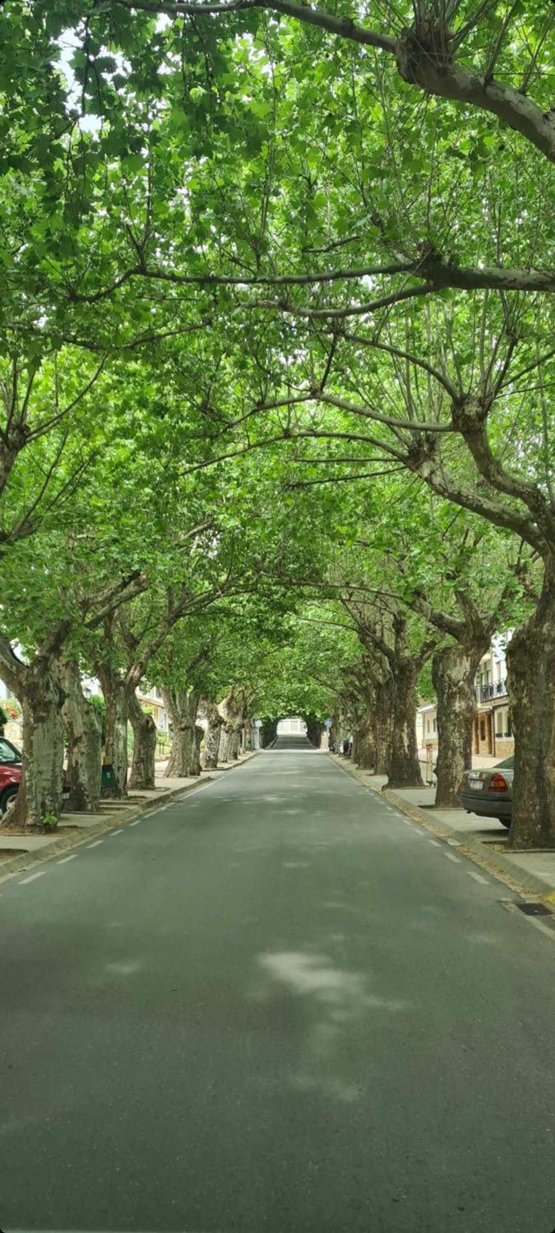 Apartamento Calamina