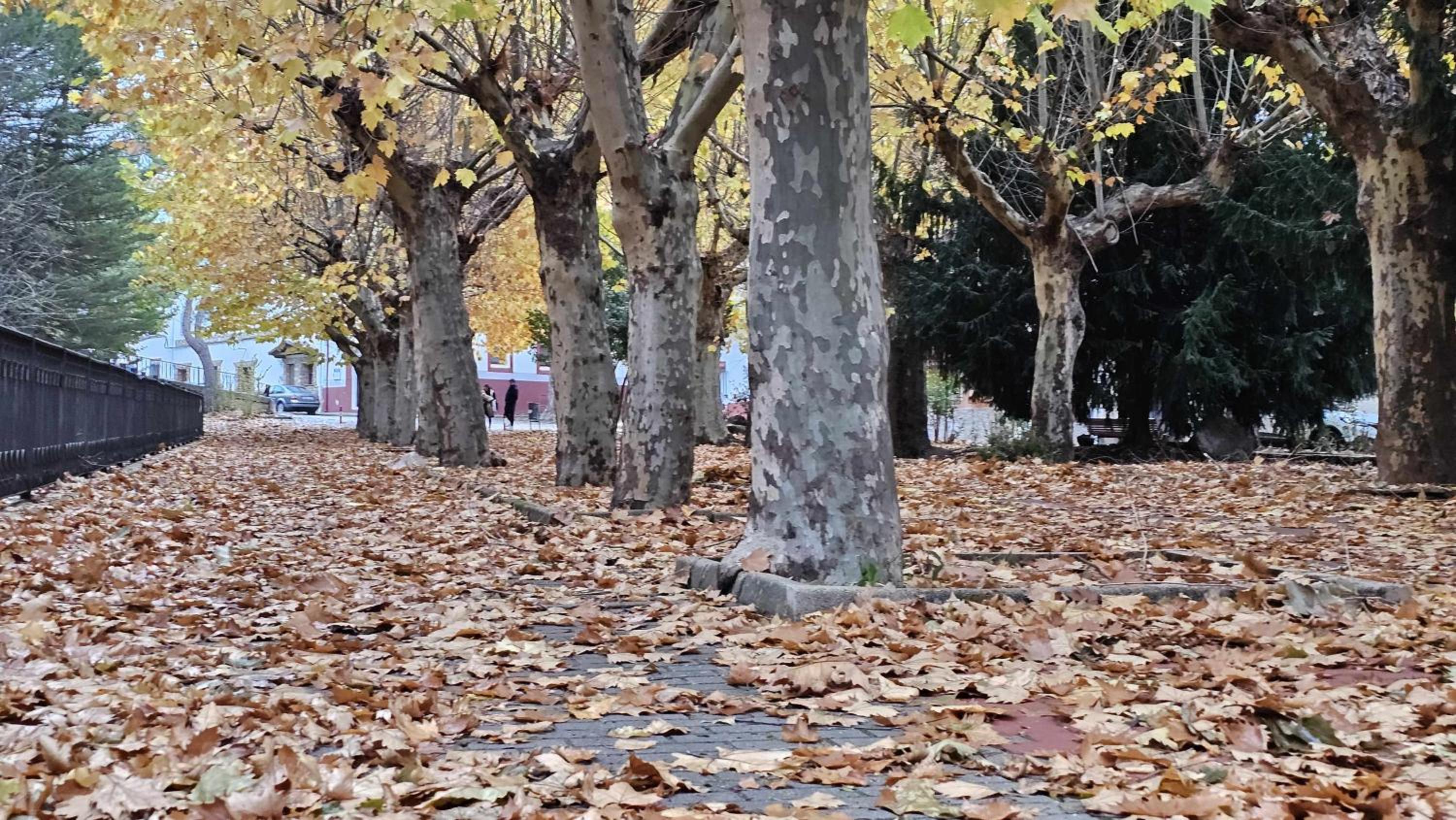 Apartamento Calamina