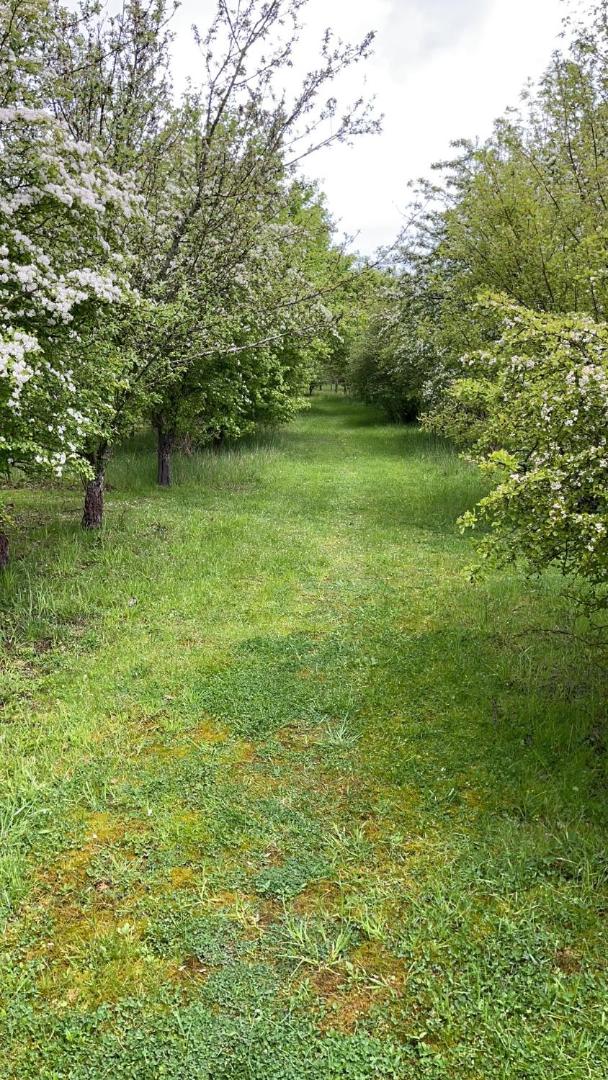 Open plan getaway set in 25 acres of woodland view 5
