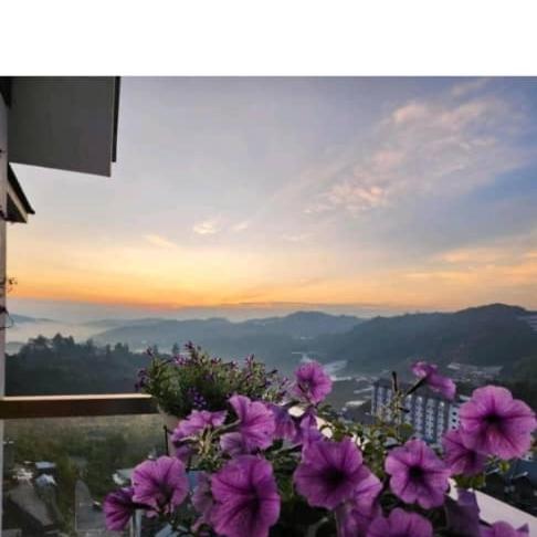 Kensington Sunrise at Sg Palas,PalasHorizon photo 4