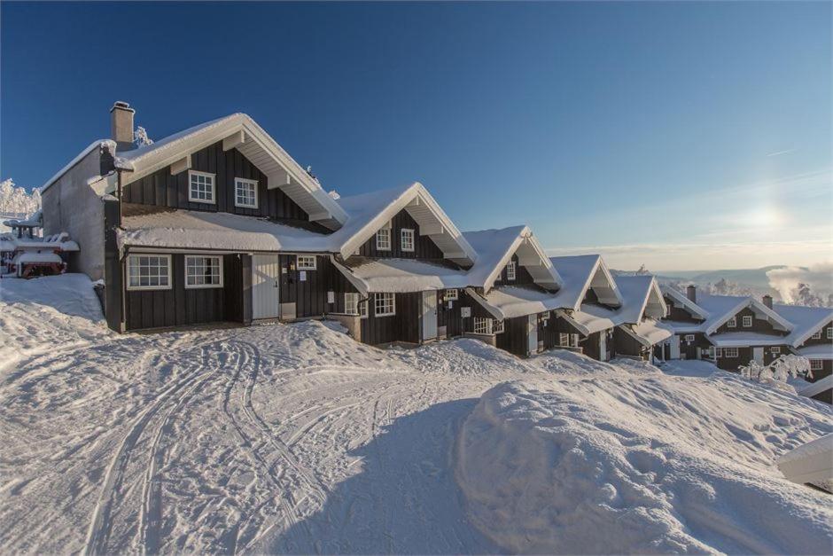 Beito Resort Hytter view 3