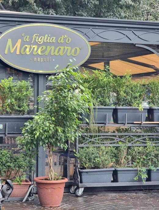 Casa comoda e centrale in quartiere storico di Napoli
