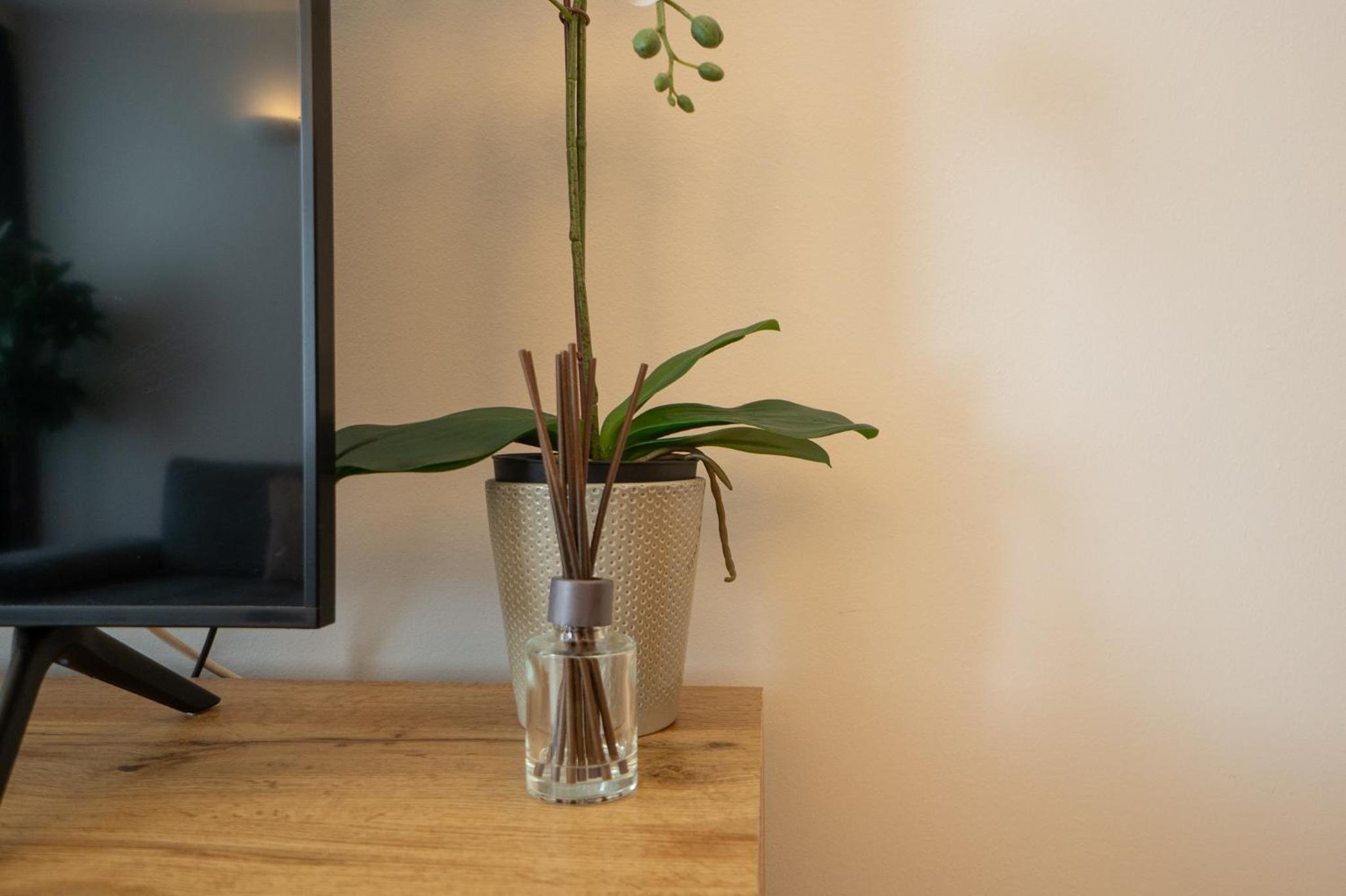 Charming Apartment with Balcony, Close to Stephansdom Cathedral