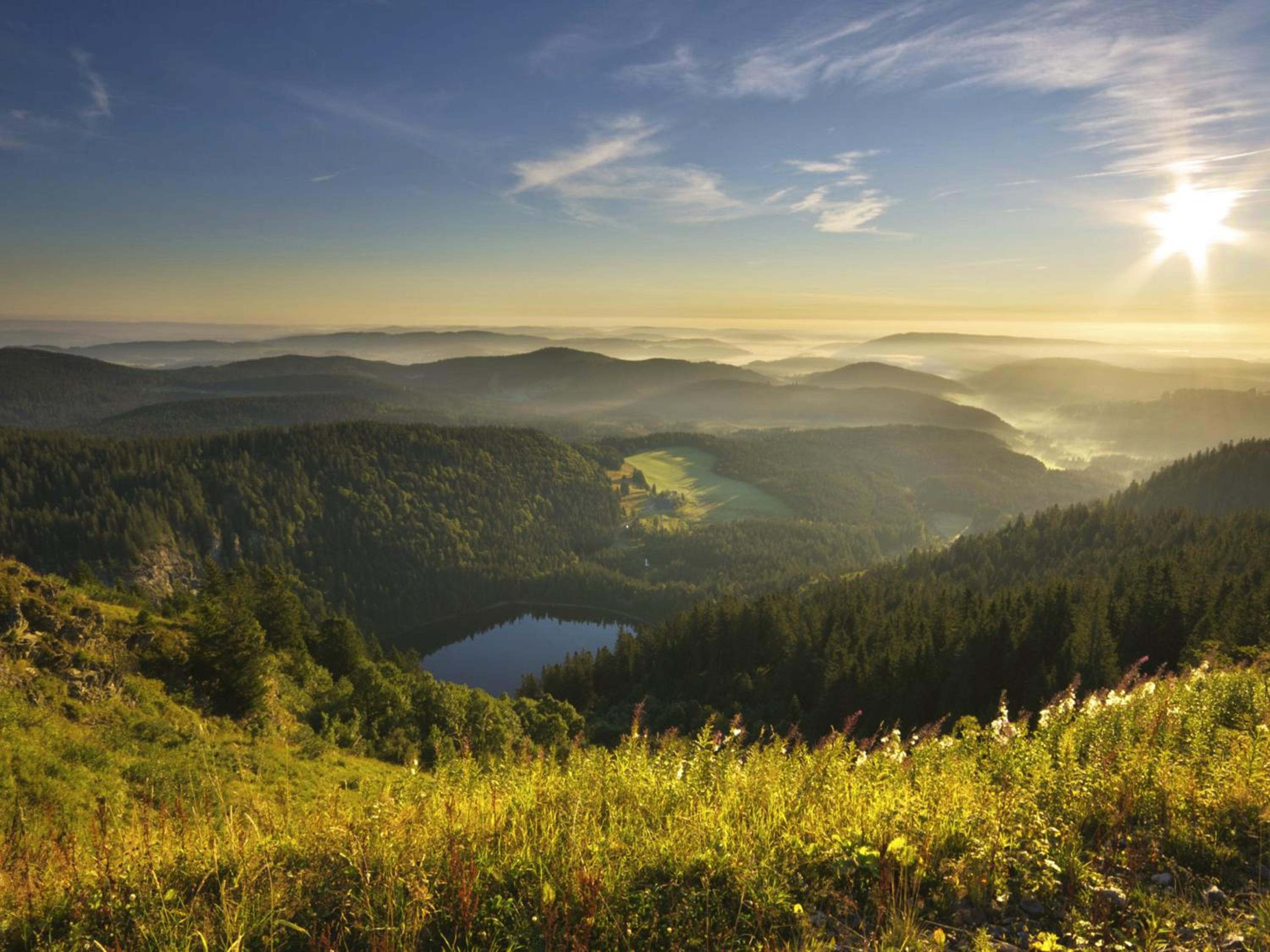 Black Forest Luxury Apartment Waldglück mit Sauna