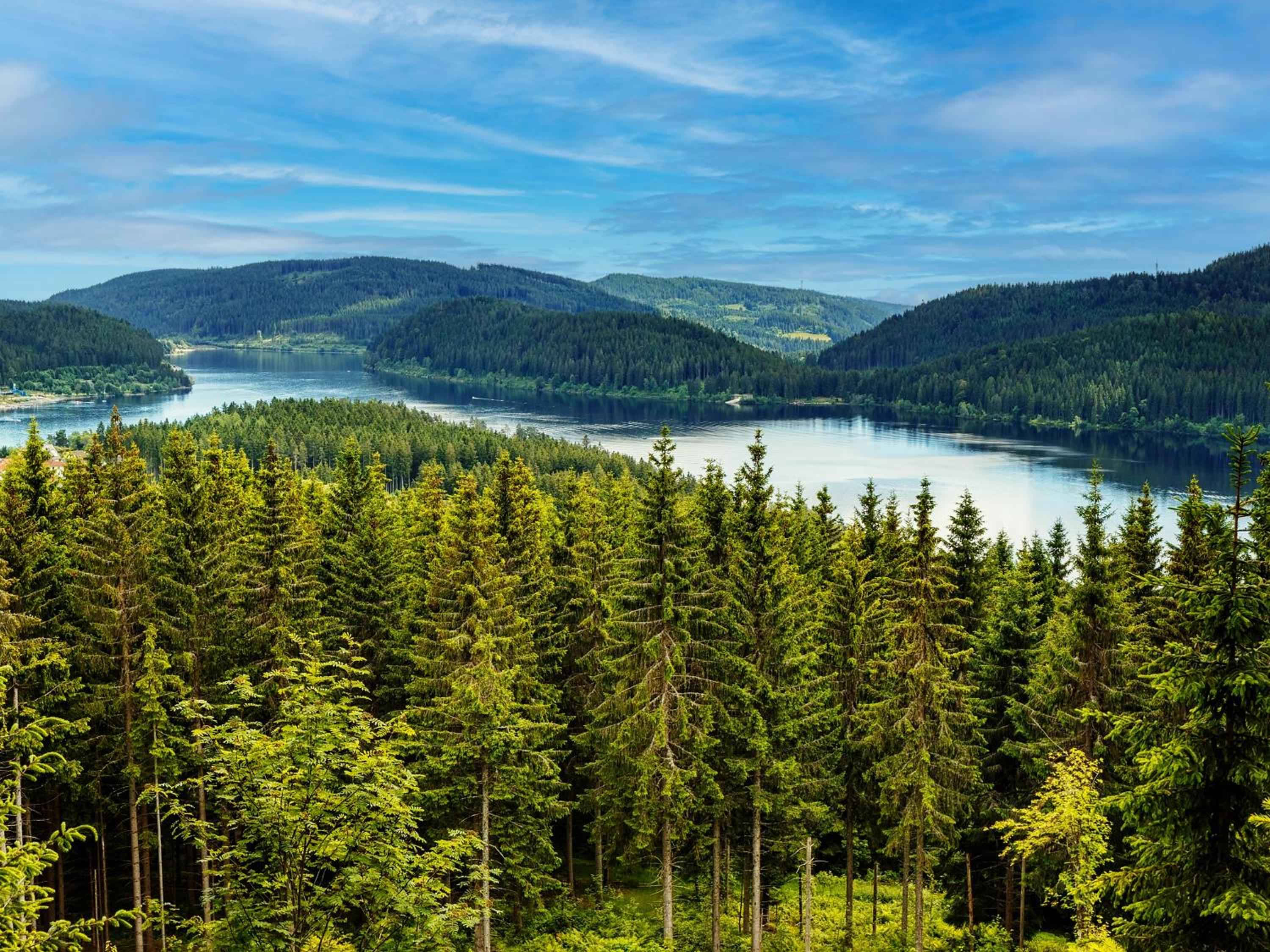 Black Forest Luxury Apartment Waldglück mit Sauna