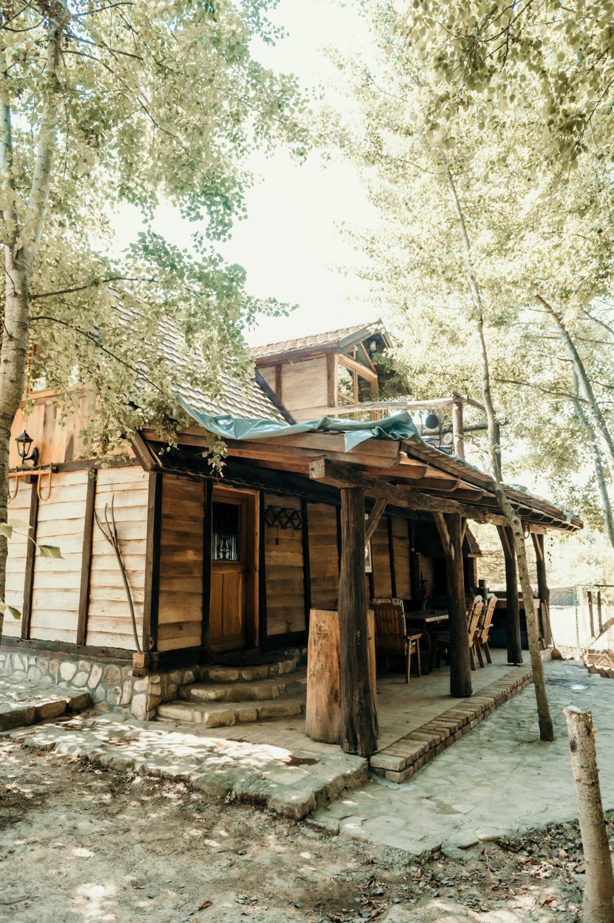 Magaze de Luxe