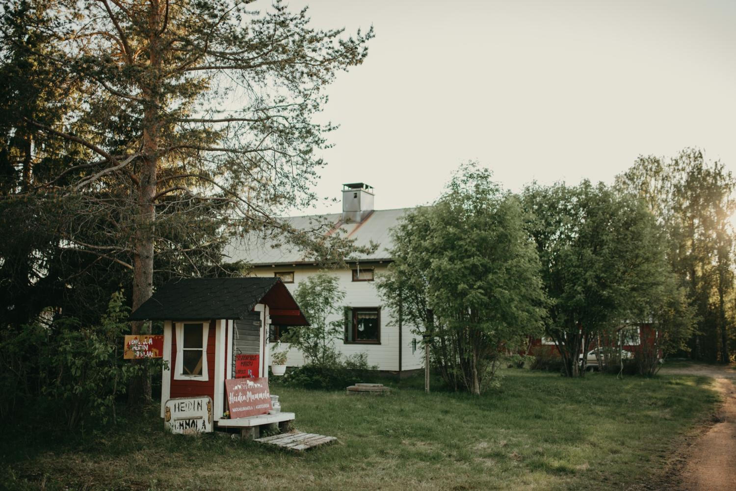 Photo 25