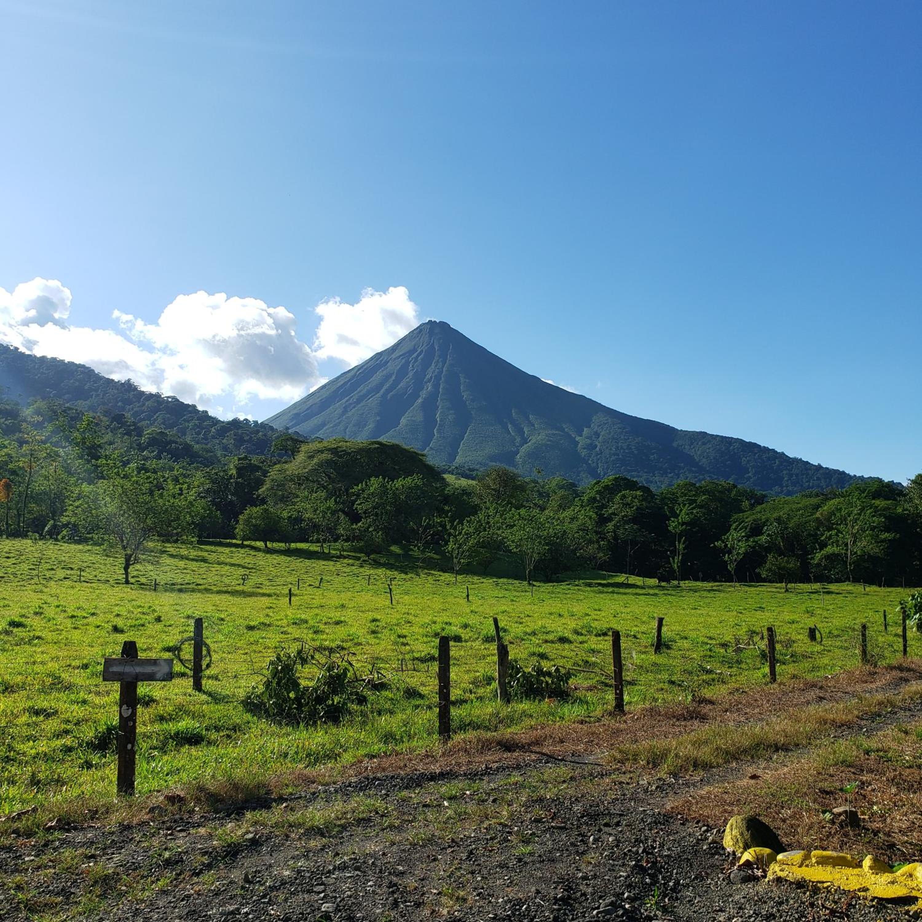 Flora Glamping de Abuela