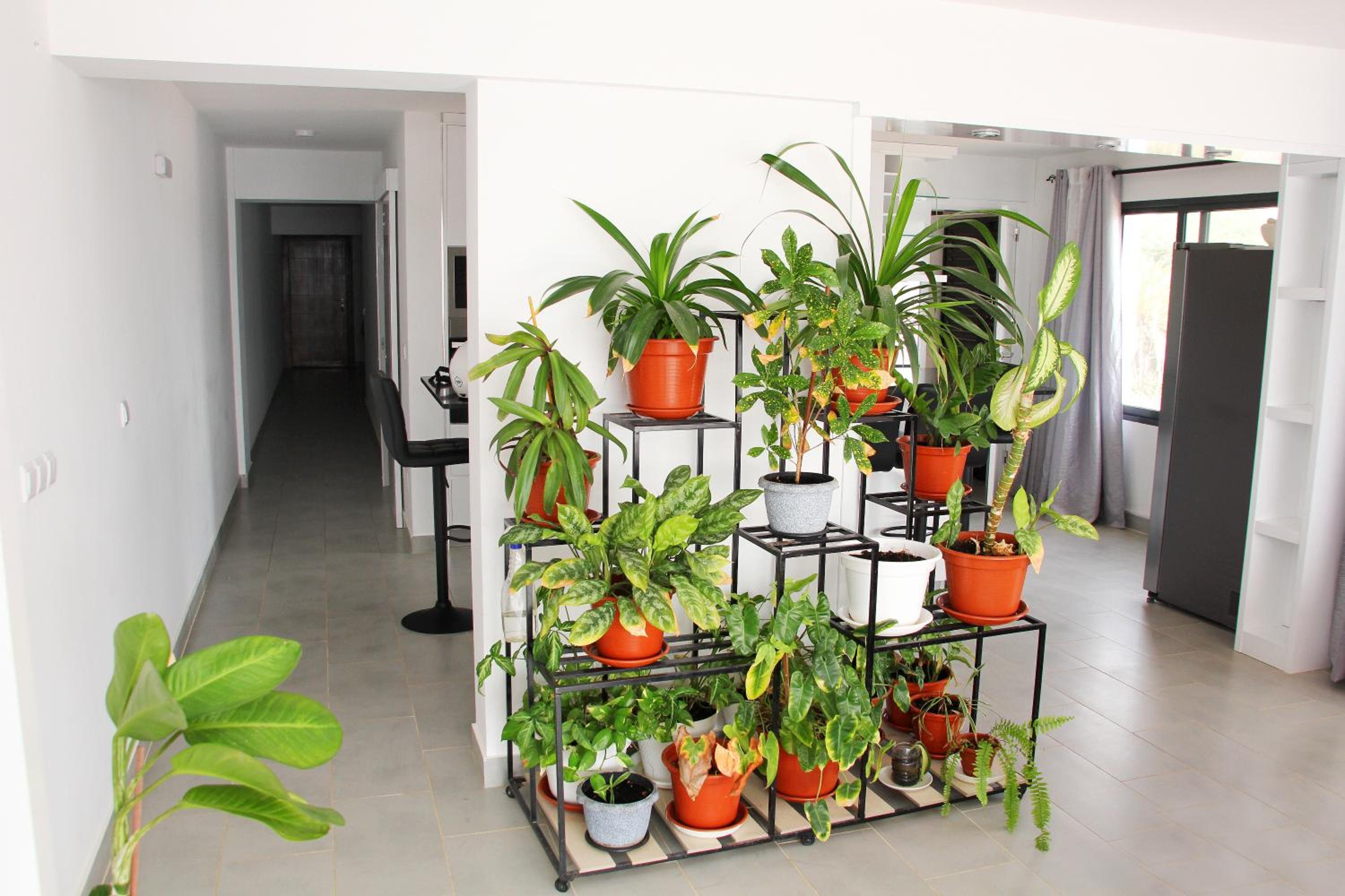 Apartamento Vista Mar