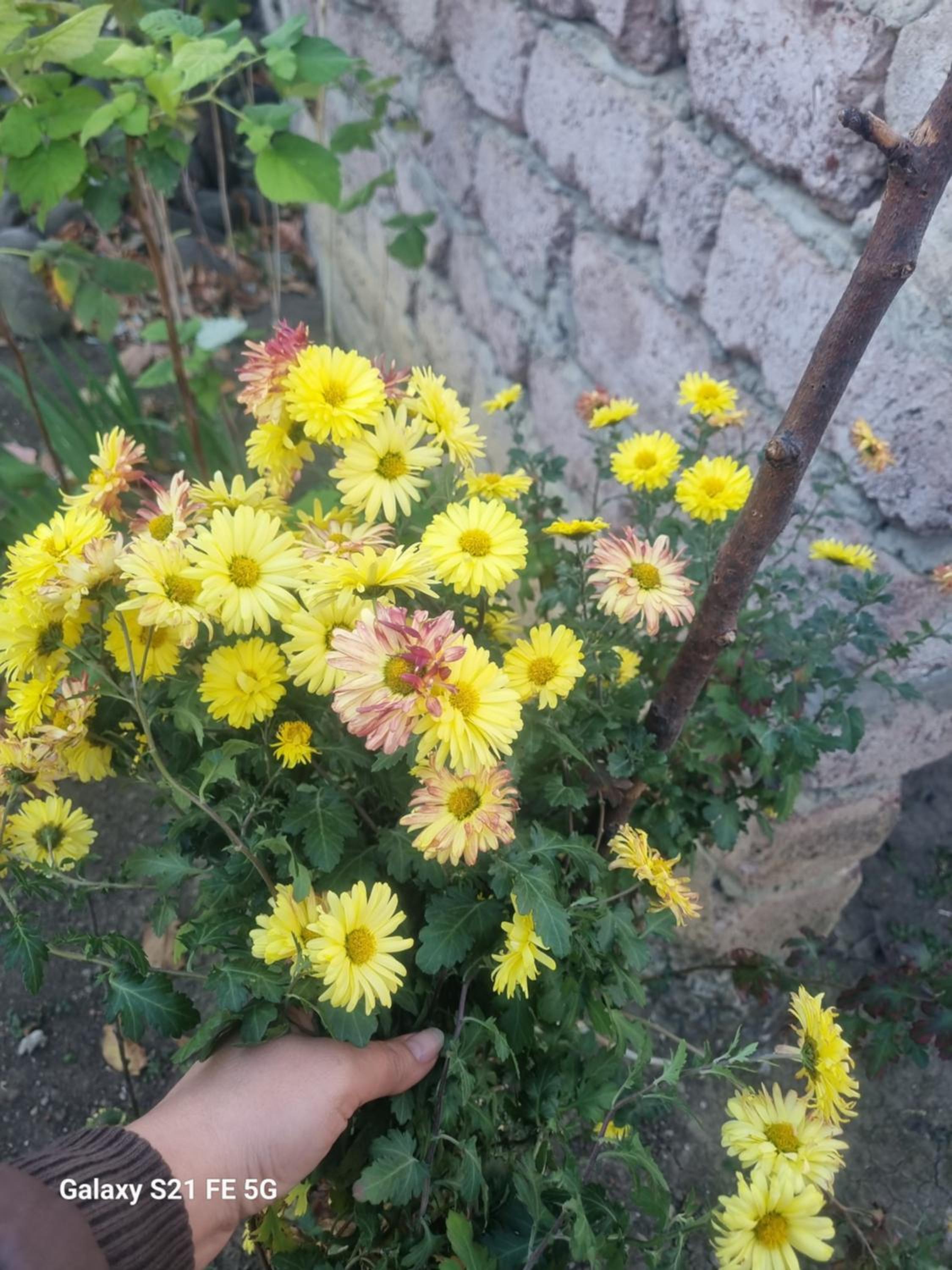 other