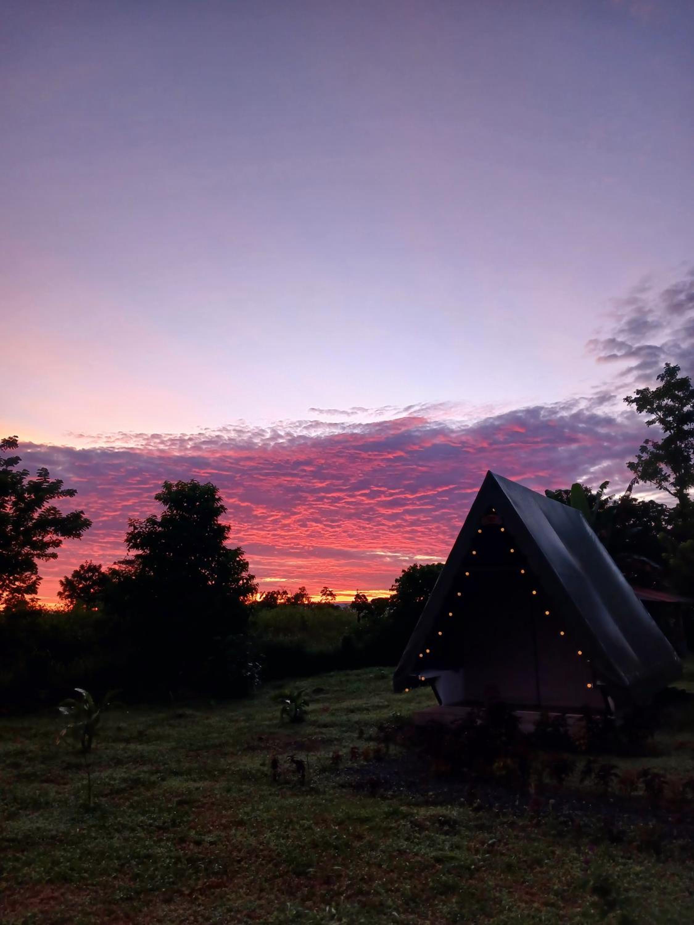 Flora Glamping de Abuela