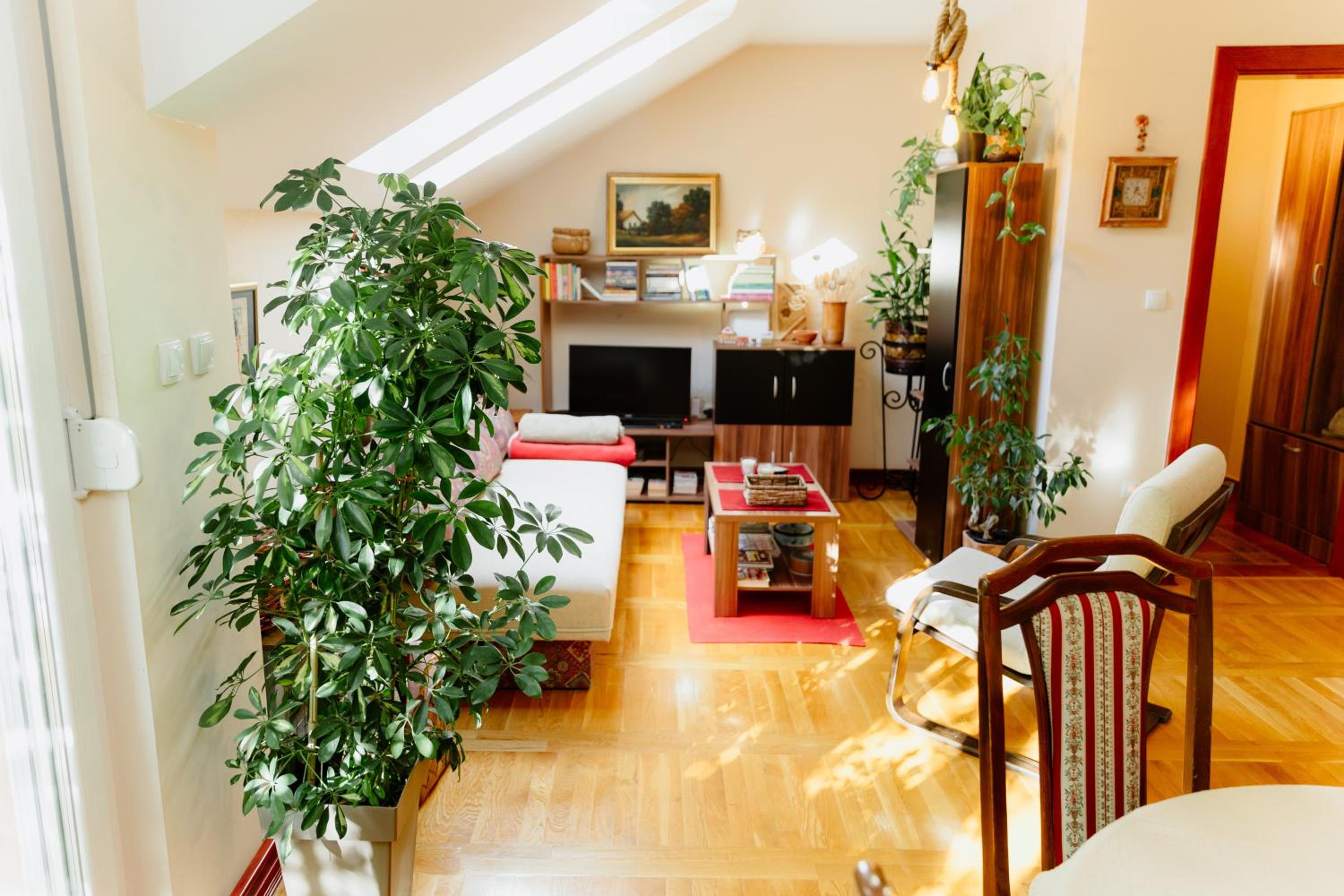 Apartman Zamak Sombor