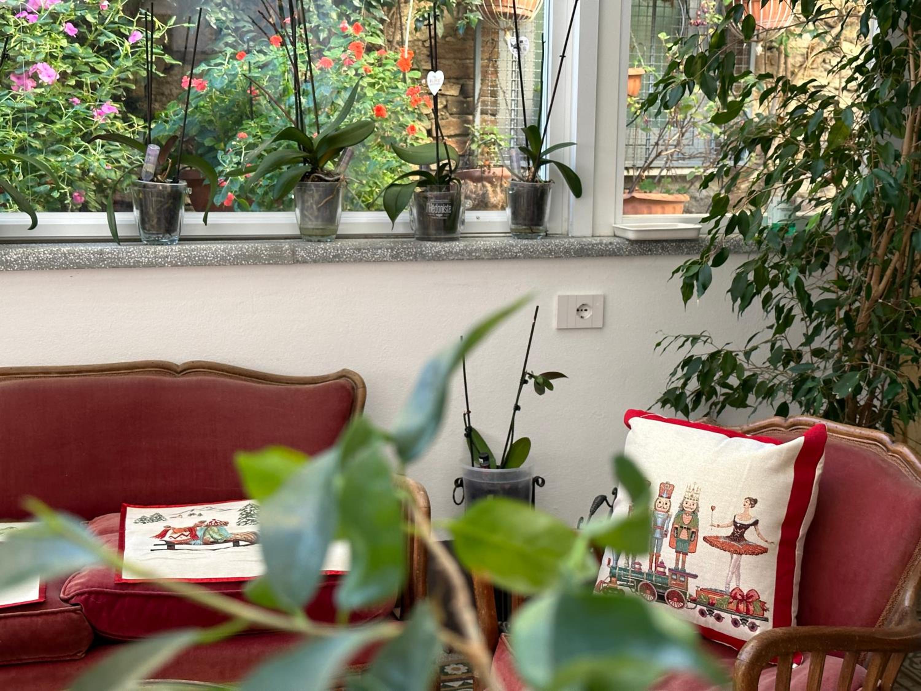 Domus Socolatae Residenza d'Epoca Charming B&B - Adults Only