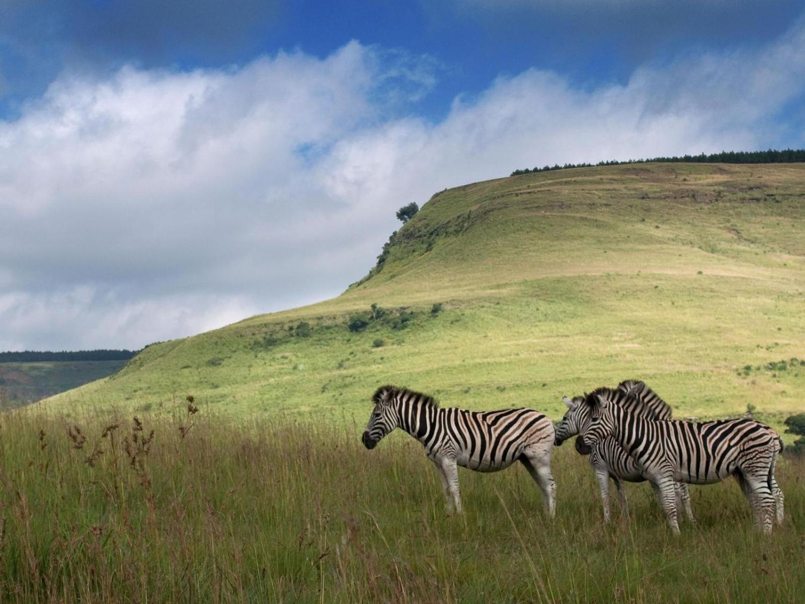 Zulu Waters Game Reserve view 3
