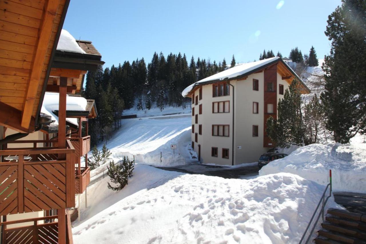Casa Dadora