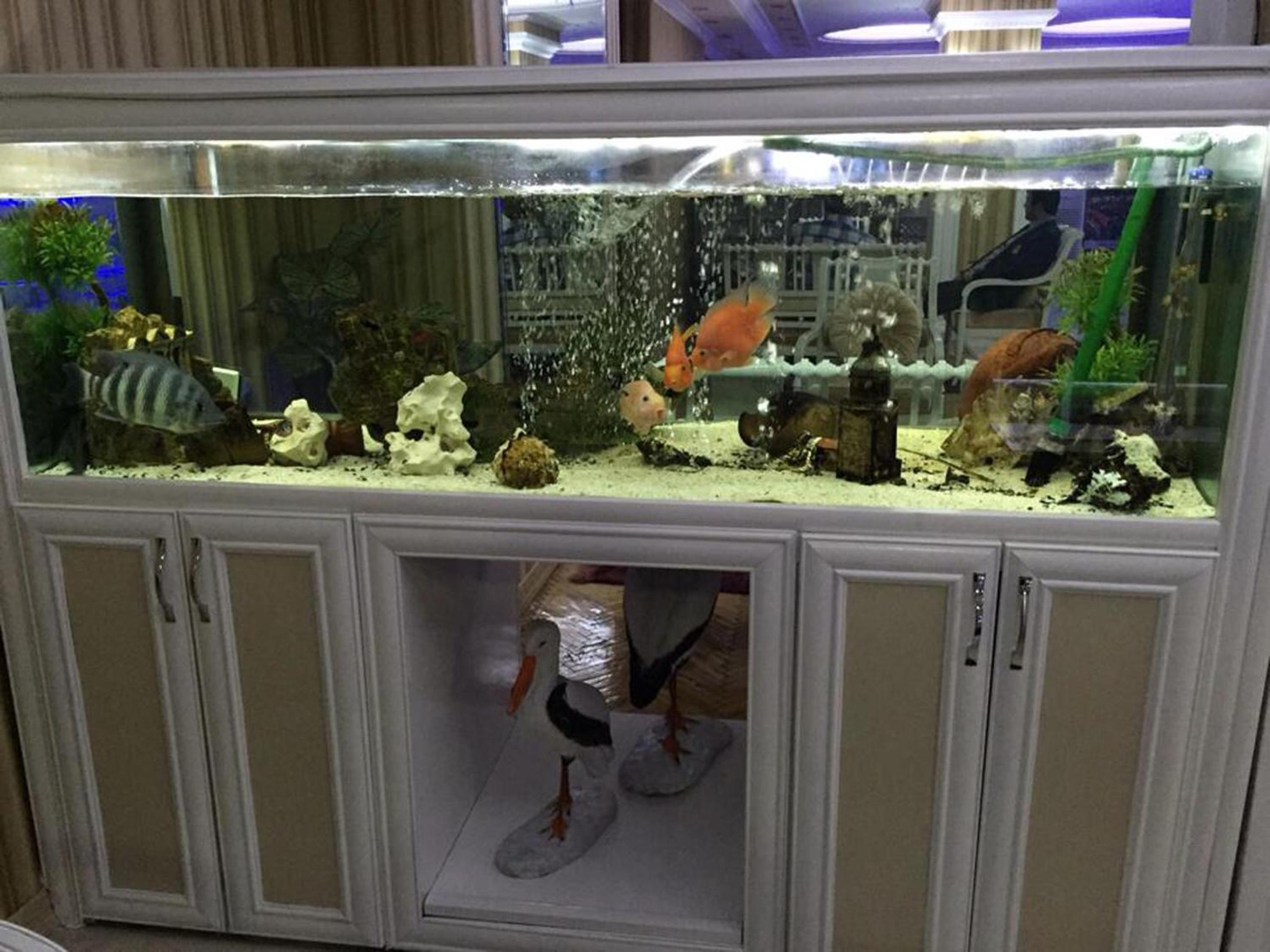 Hotel Grand Mark - Image 6