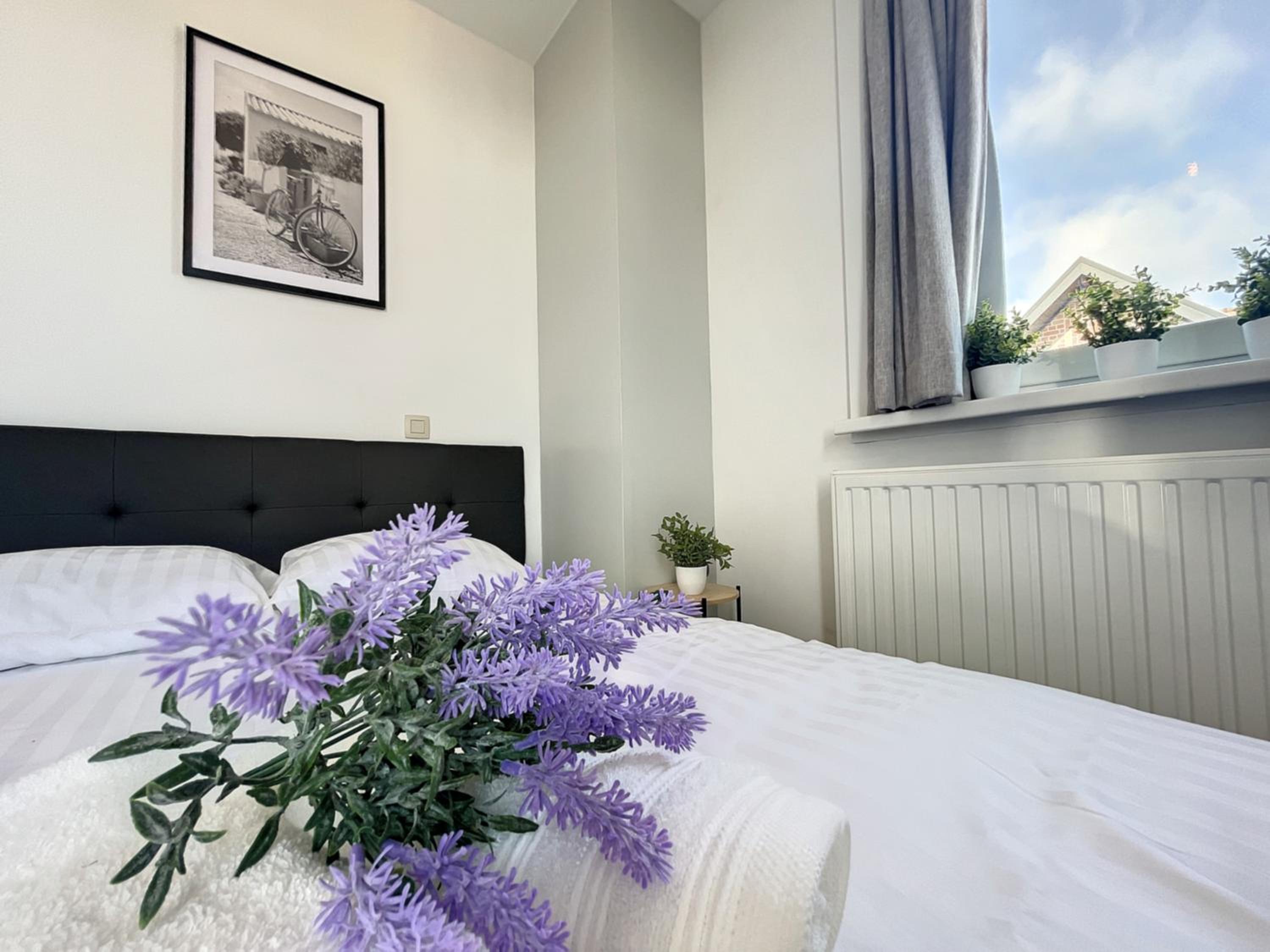 Flat Monaco - Monte Carlo - Roma