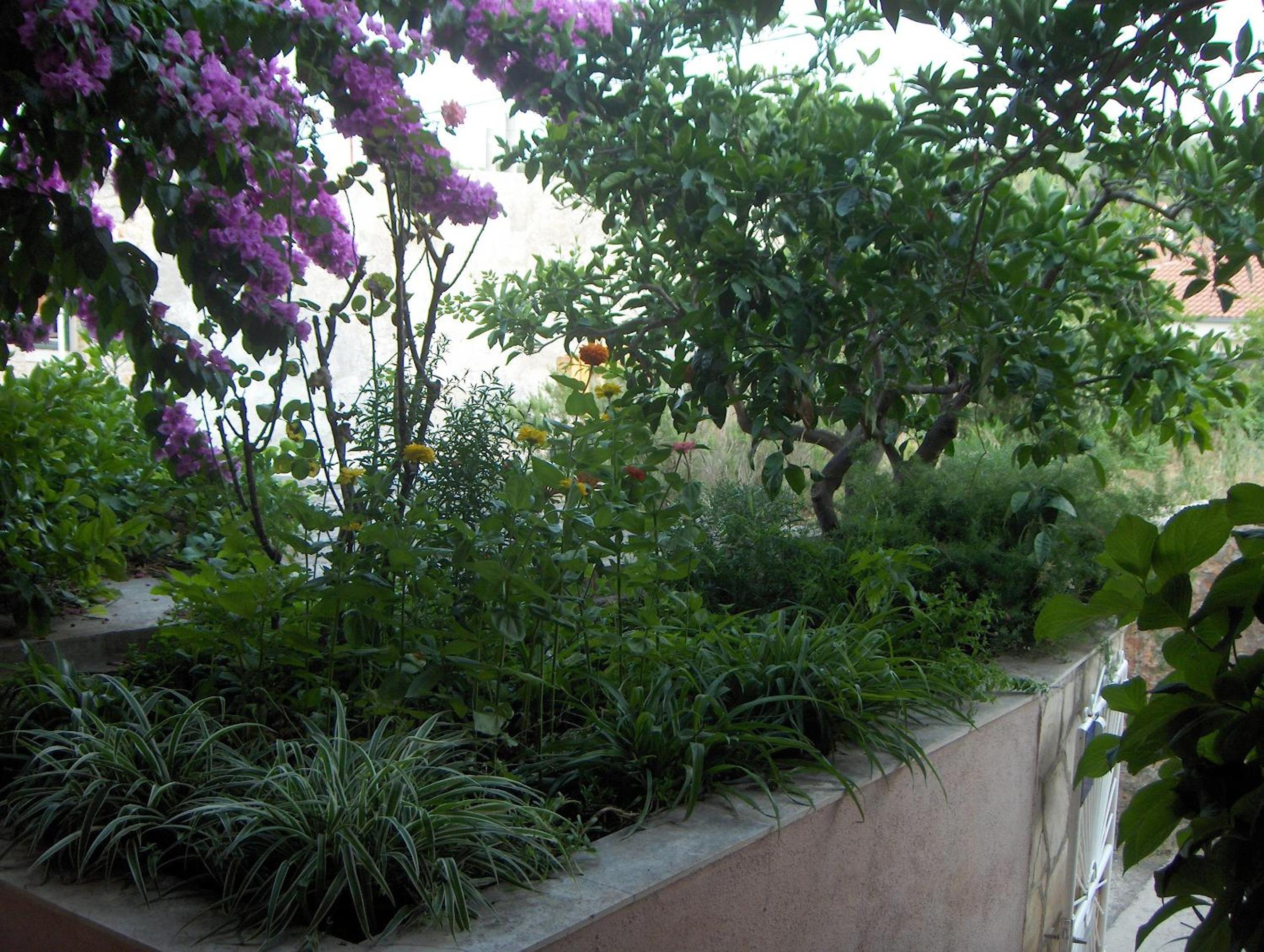 Guest House Roza