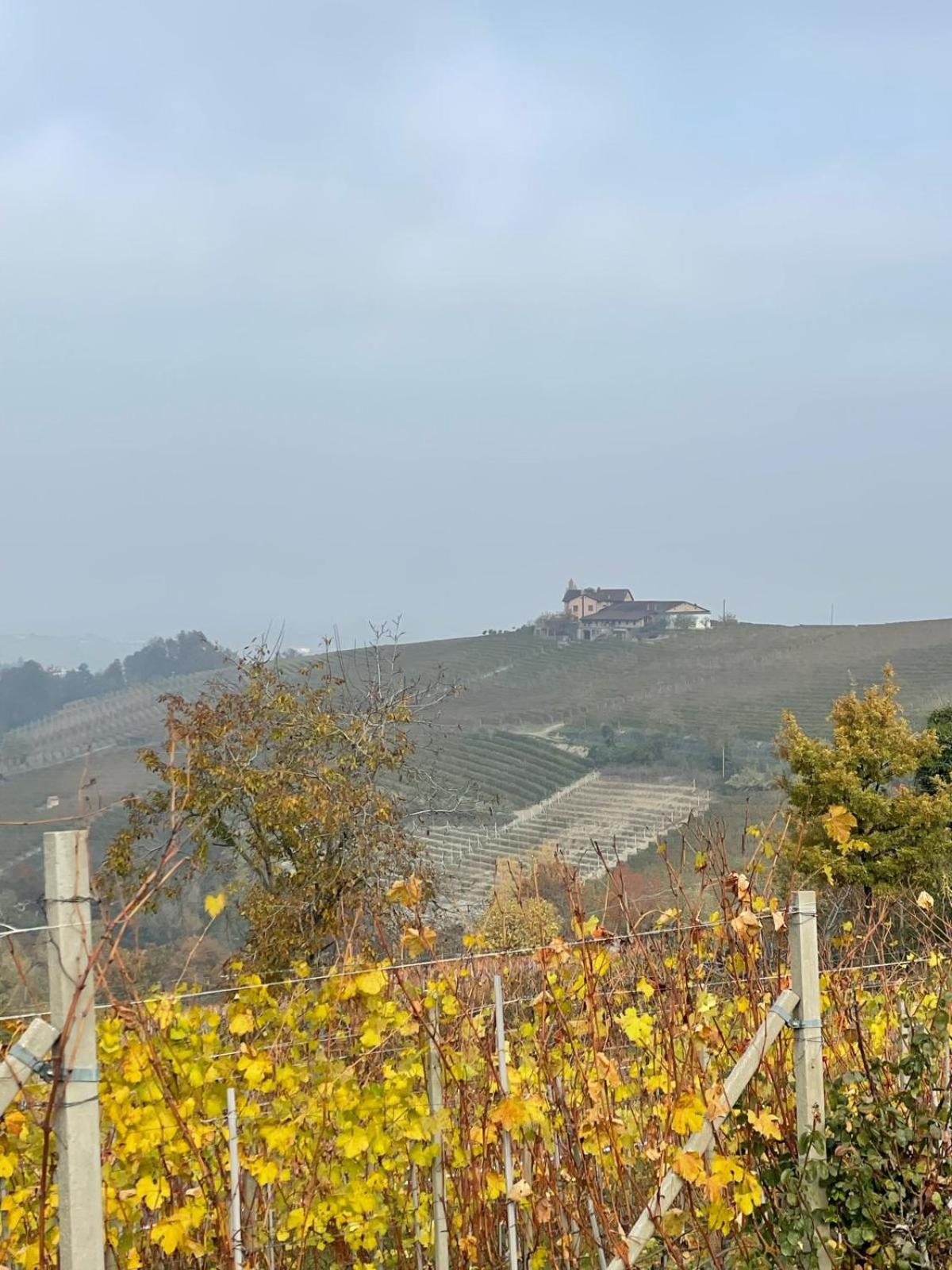 Cascina Boschetti