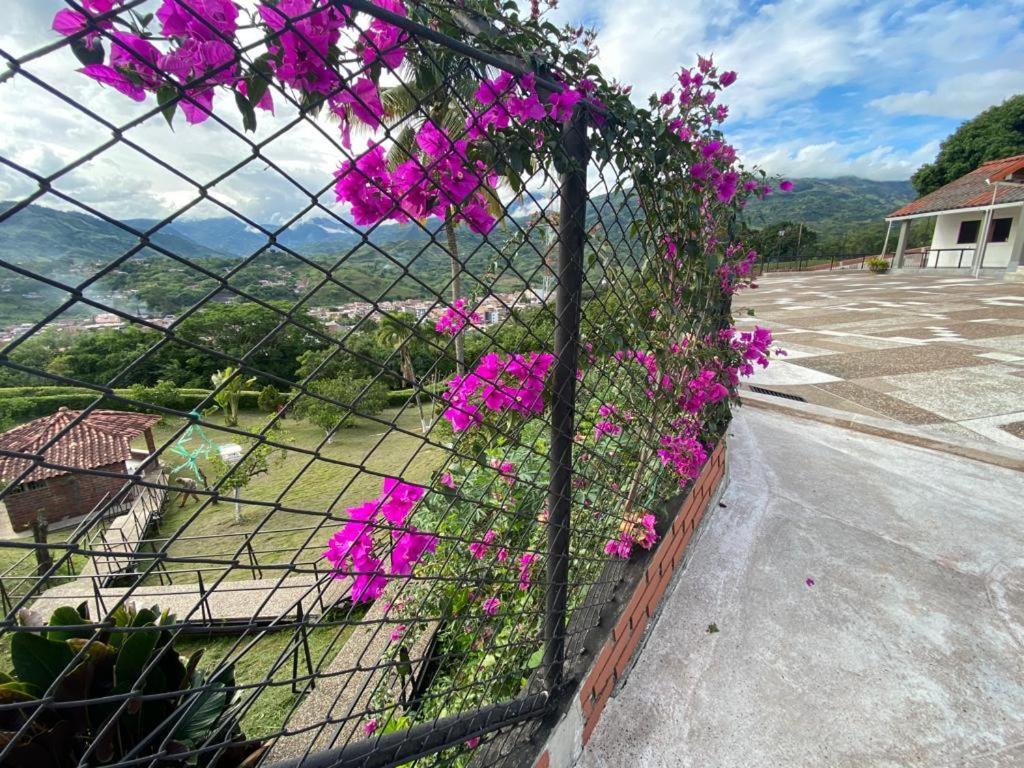 Verano eterno entre montañas