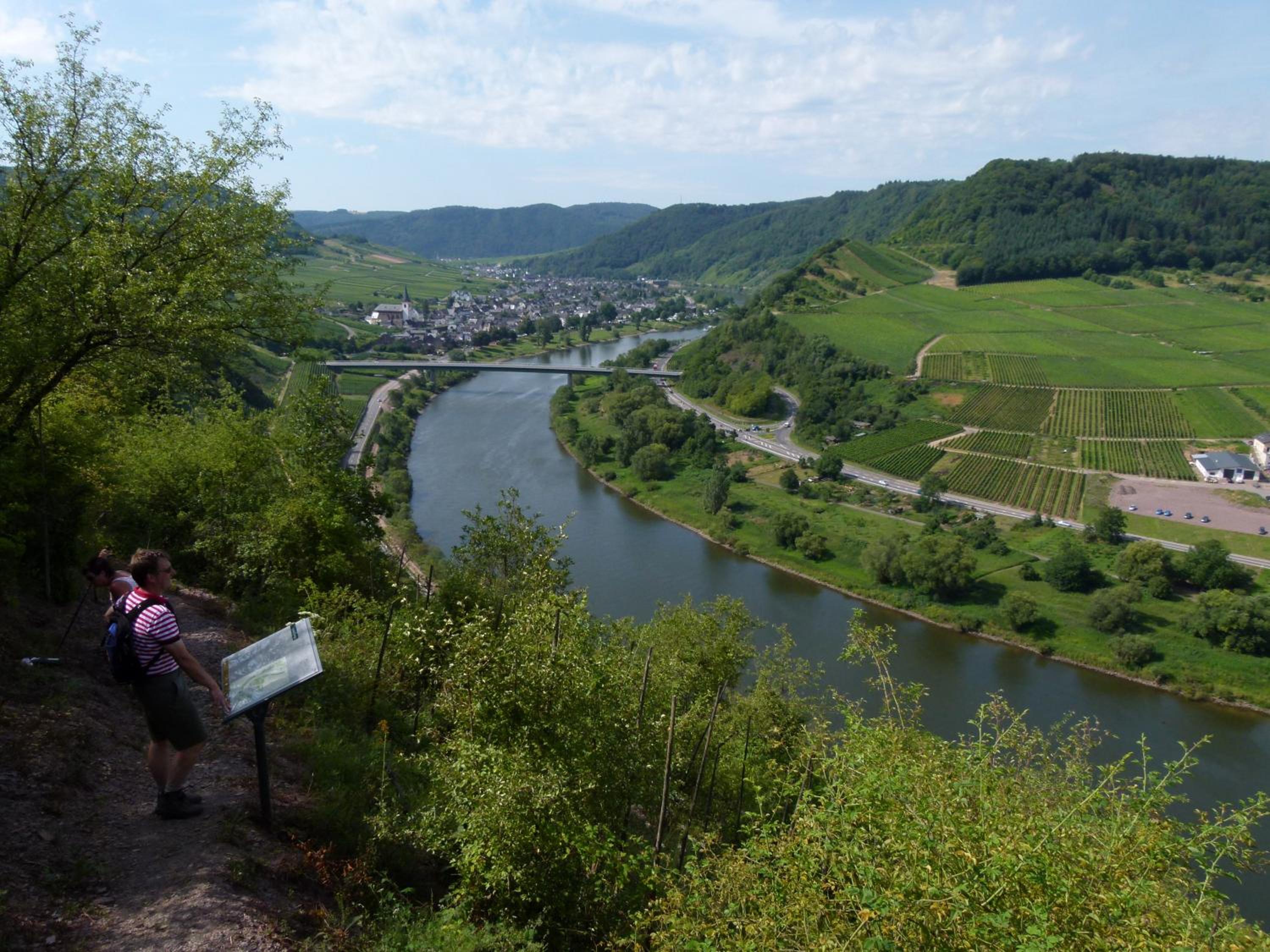 Mosel-Apart Rudorfer view 5