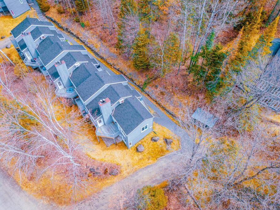 Comfy Condo in Mont-Tremblant