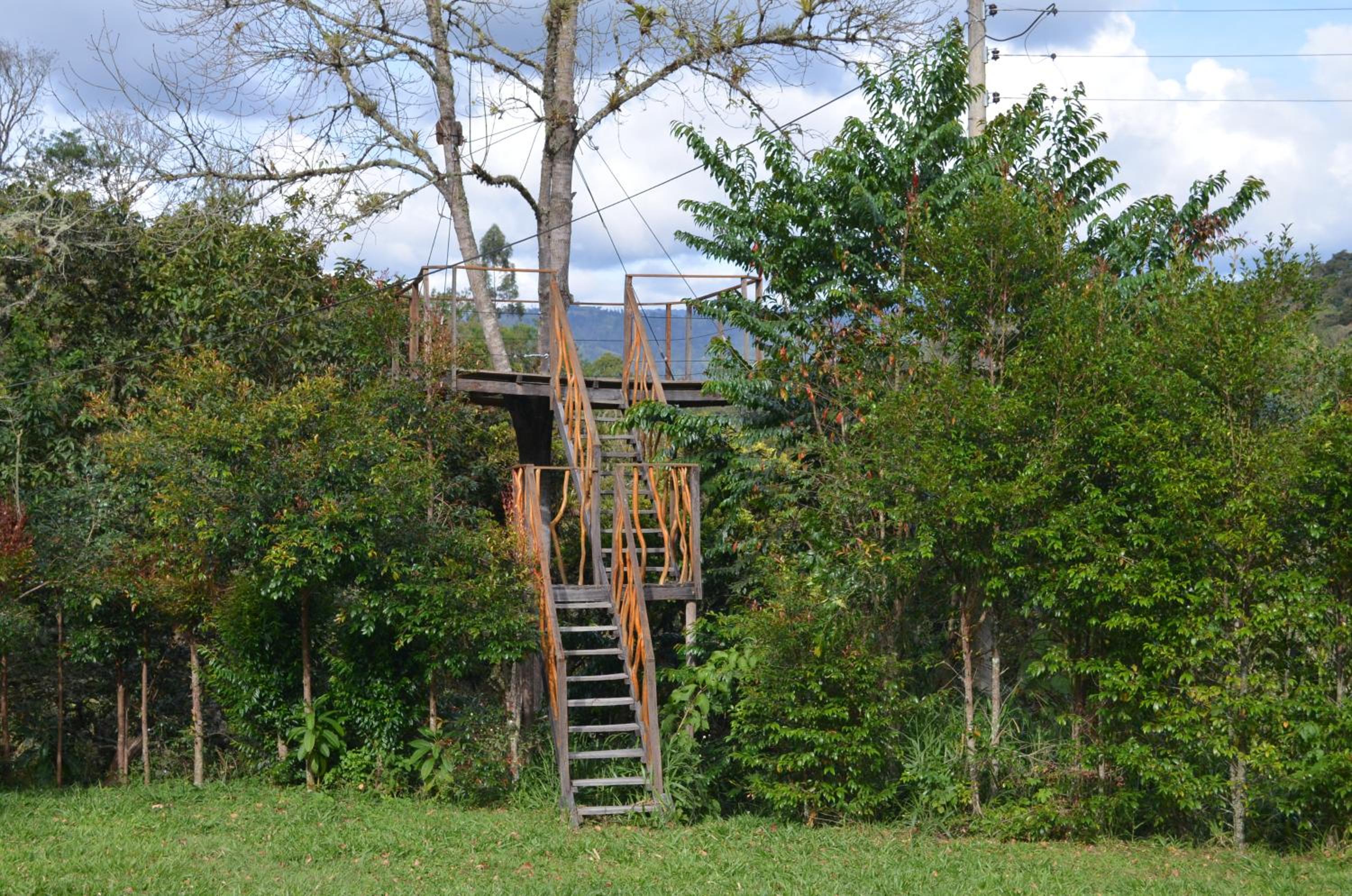 Termales SironaSpa