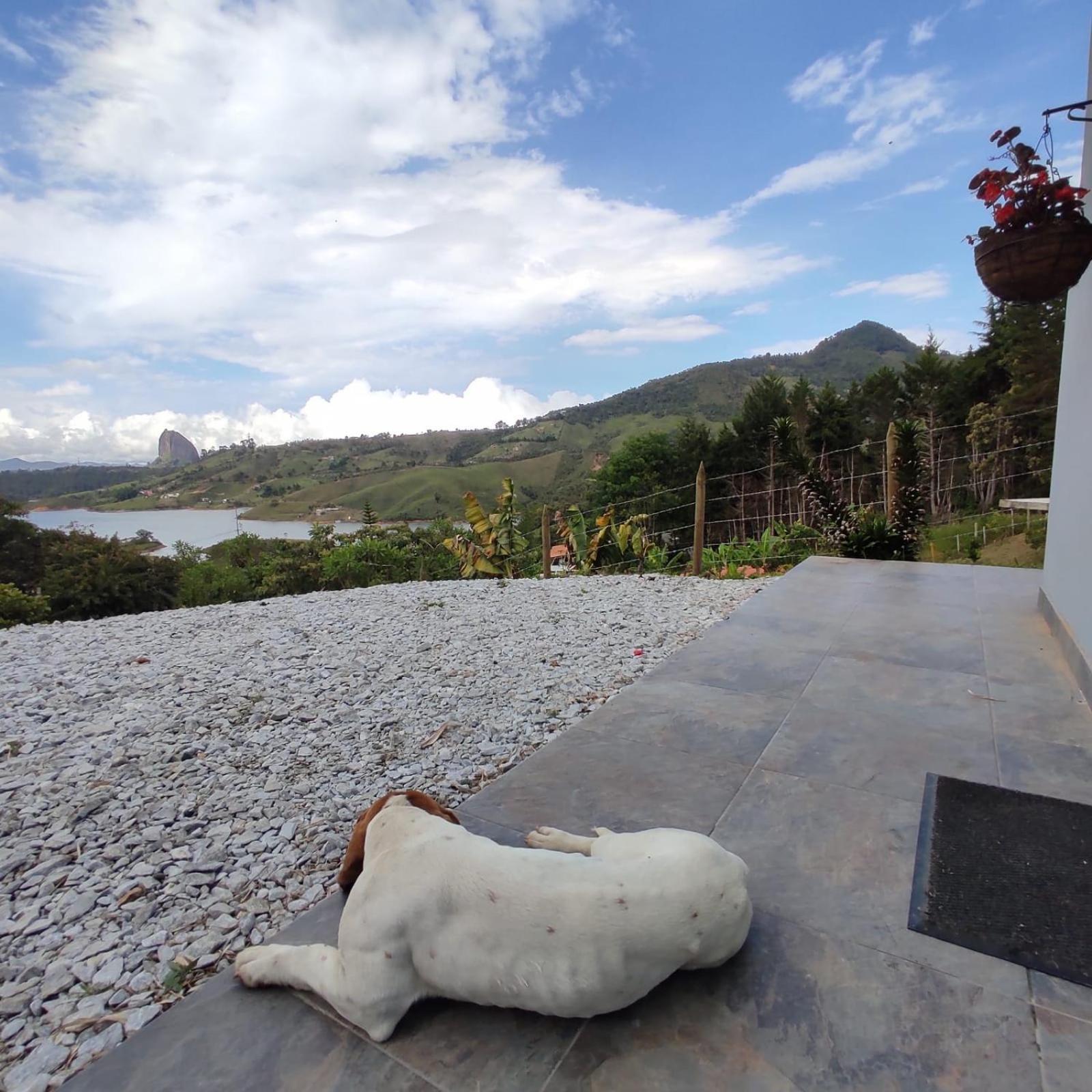 Cabaña el mirador azul