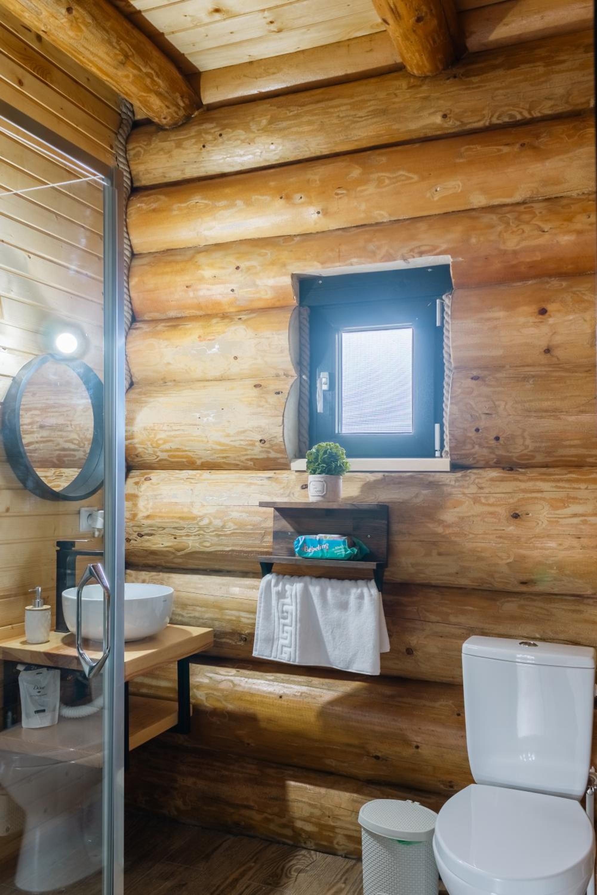 Chalet Ciocanesti