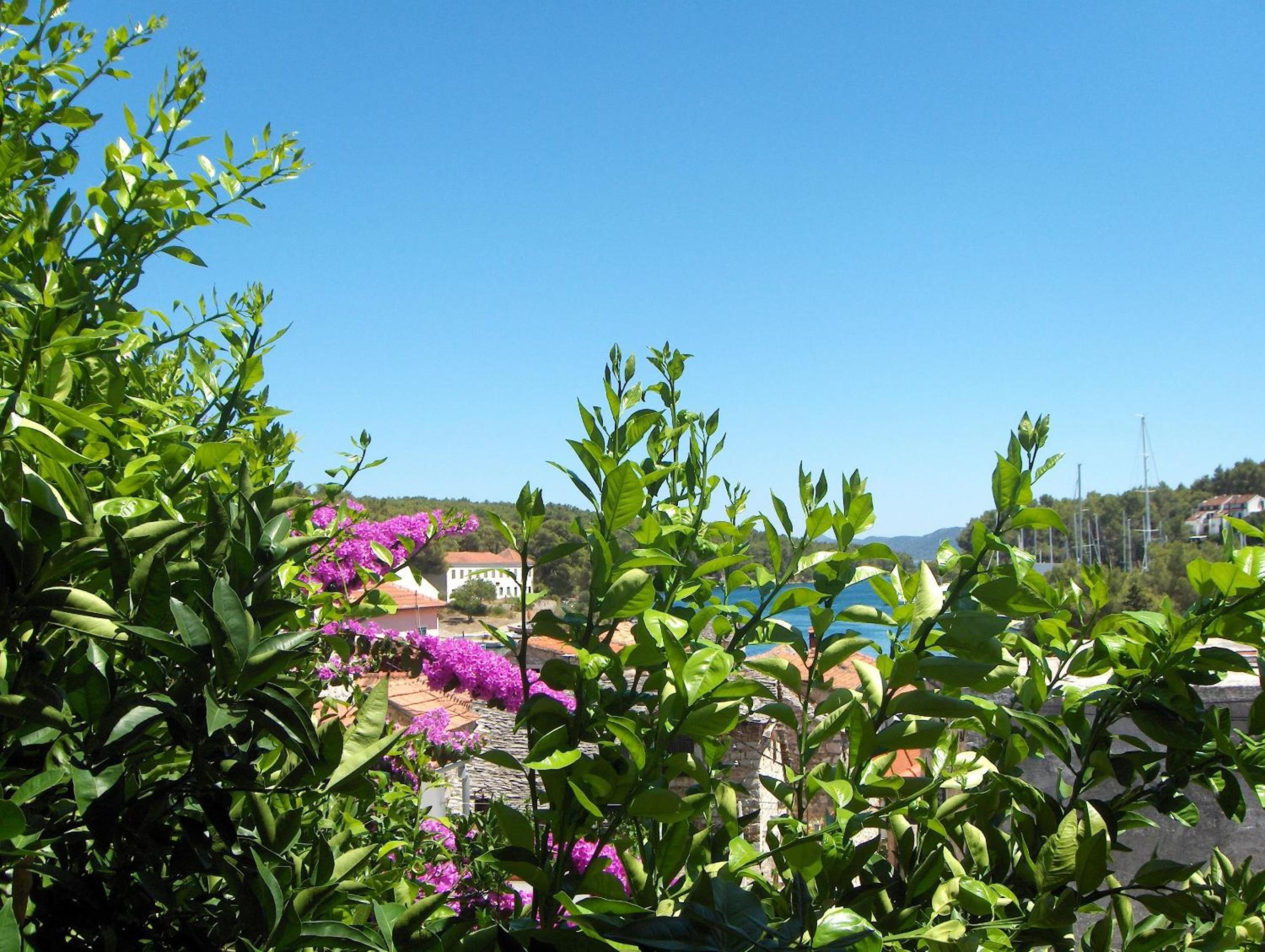 Guest House Roza