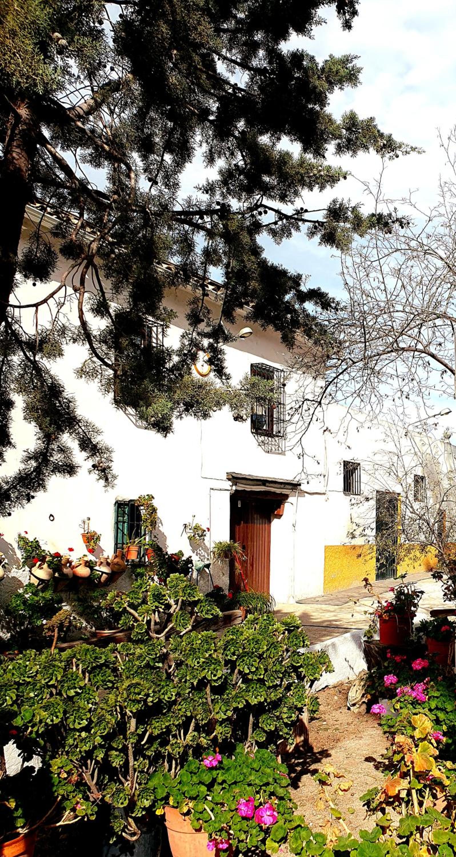 Alojamiento Rural Las Viñas