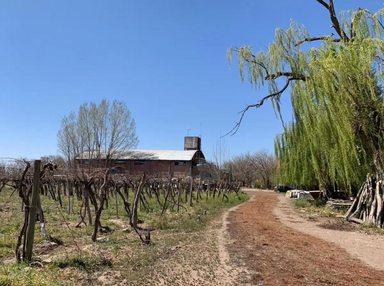 Albaflor wine house